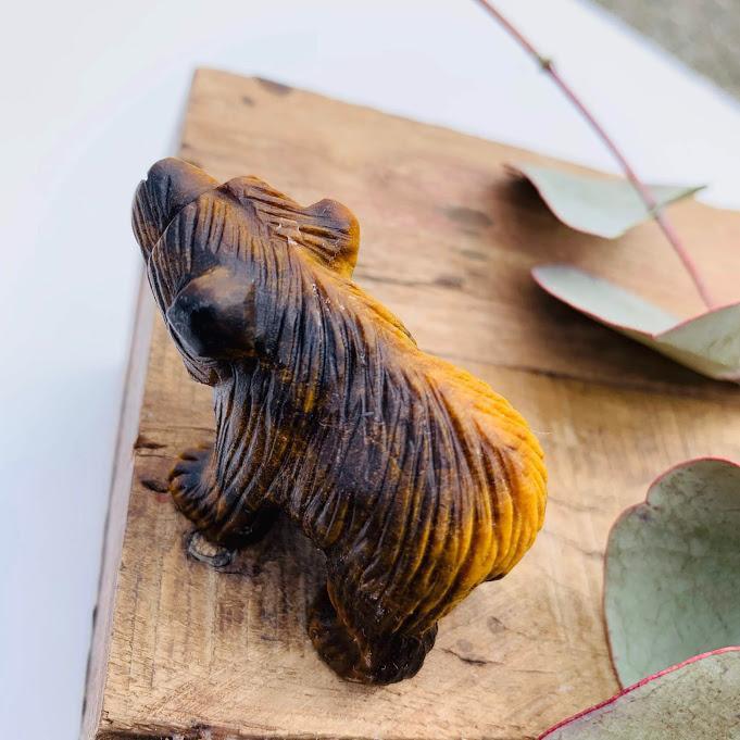 Adorable Tiger Eye Bear Display Carving - Earth Family Crystals