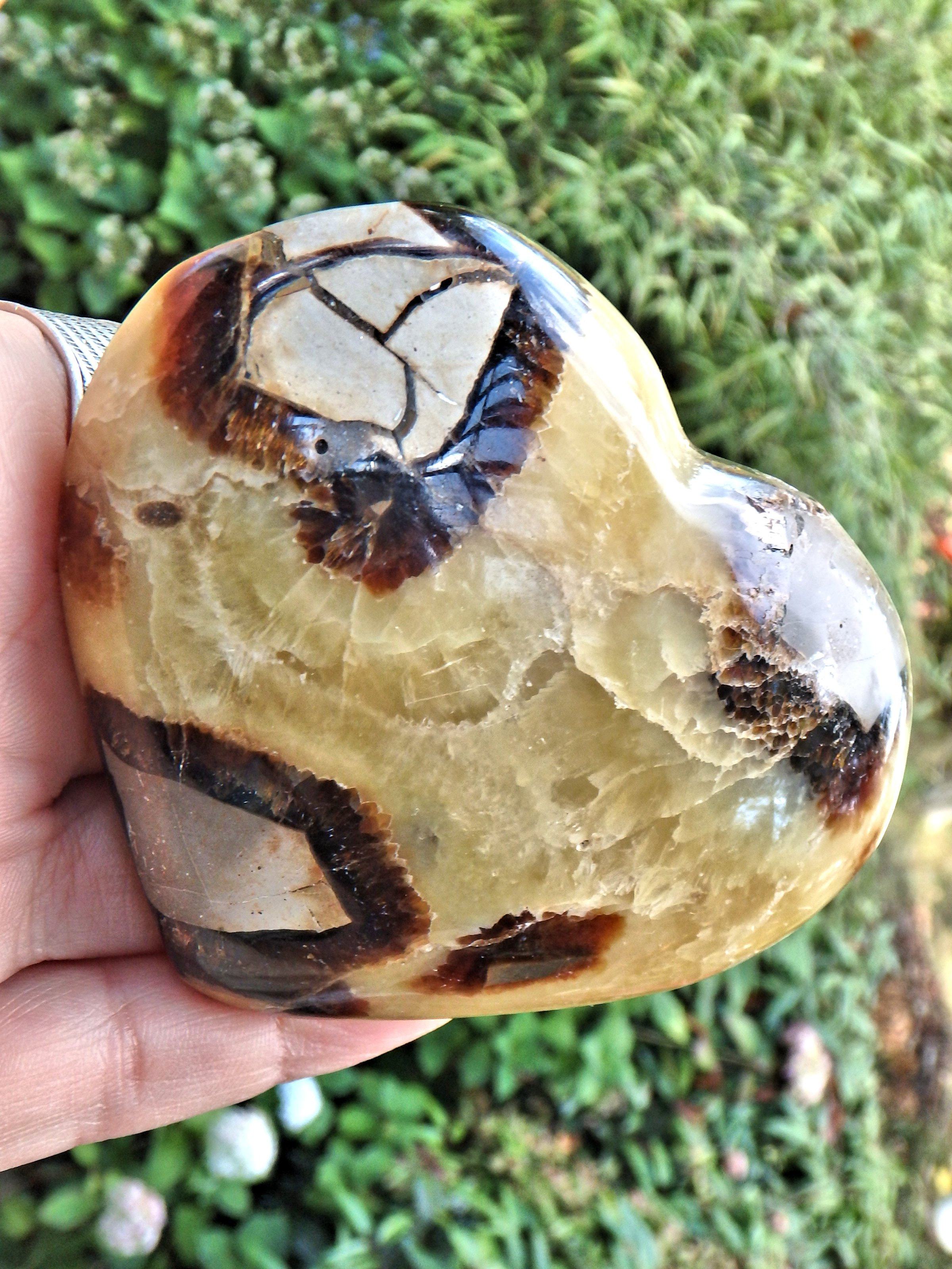 Dragon Heart Septarian Carving From Madagascar - Earth Family Crystals