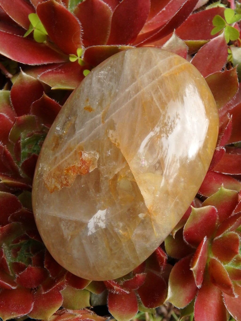 Golden Hematoid Quartz Soothing Polished Hand Held Stone - Earth Family Crystals