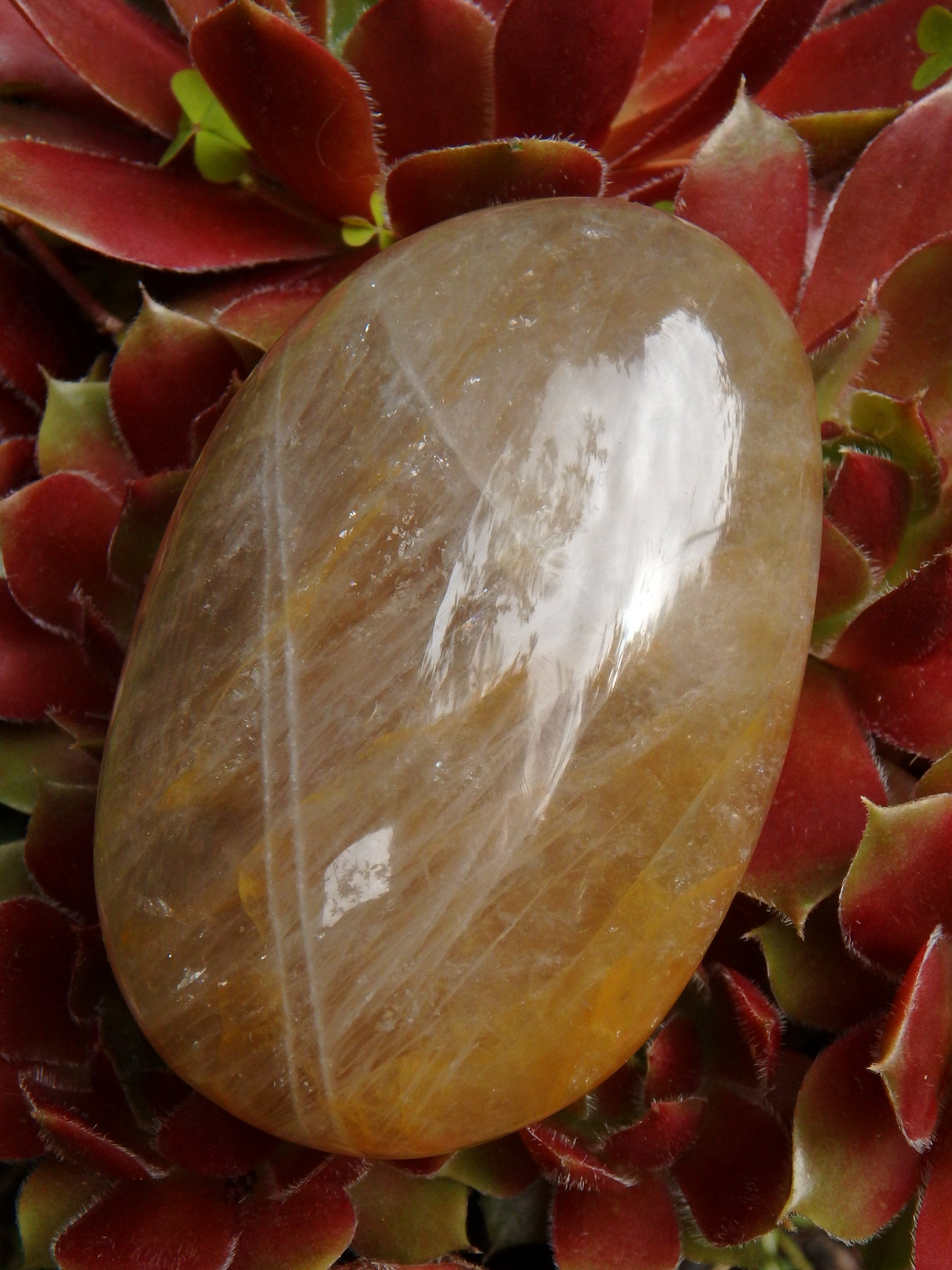 Golden Hematoid Quartz Soothing Polished Hand Held Stone - Earth Family Crystals