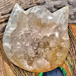 Adorable Druzy Geode Hematoid Quartz  Precious Cat Head Carving - Earth Family Crystals