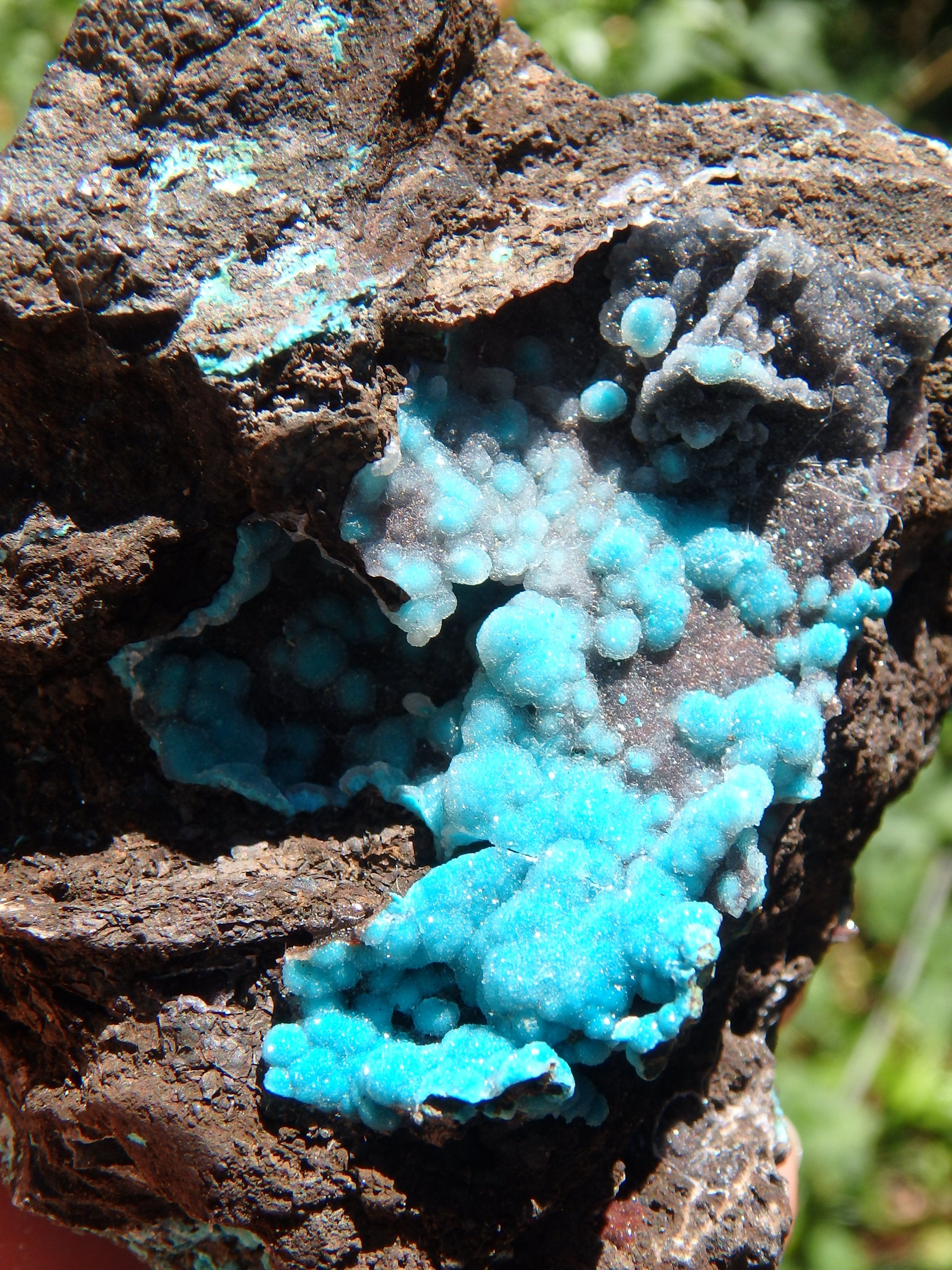 Pretty Blue Druzy on Matrix Hemimorphite Specimen
