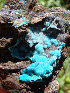 Pretty Blue Druzy on Matrix Hemimorphite Specimen