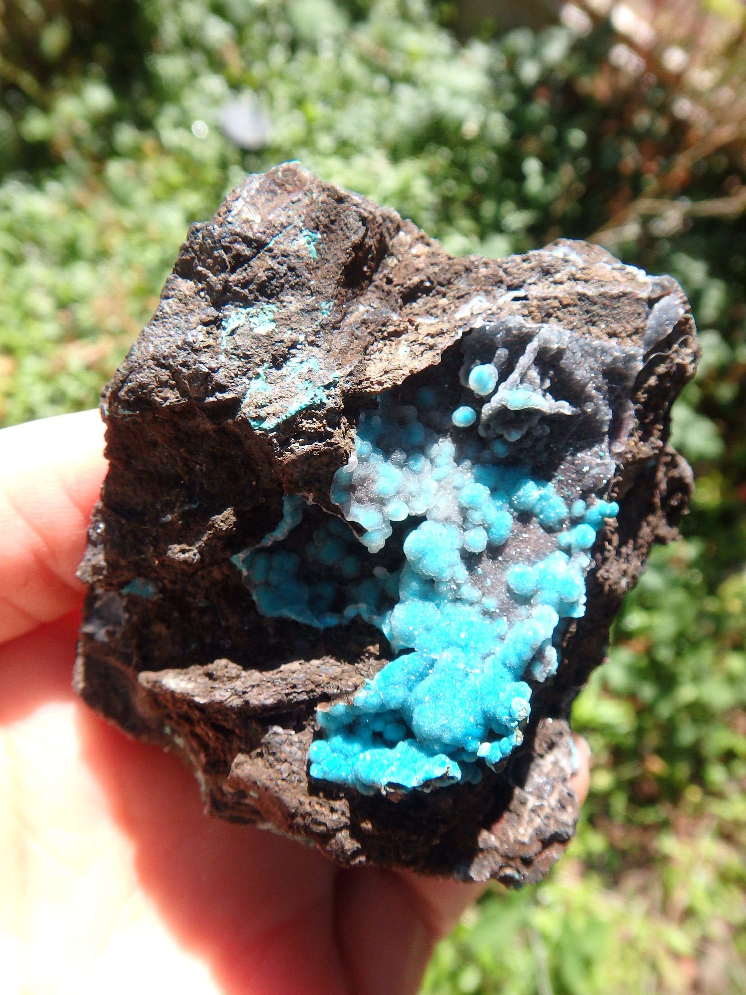 Pretty Blue Druzy on Matrix Hemimorphite Specimen