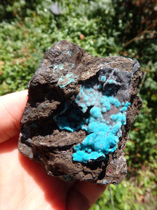 Pretty Blue Druzy on Matrix Hemimorphite Specimen