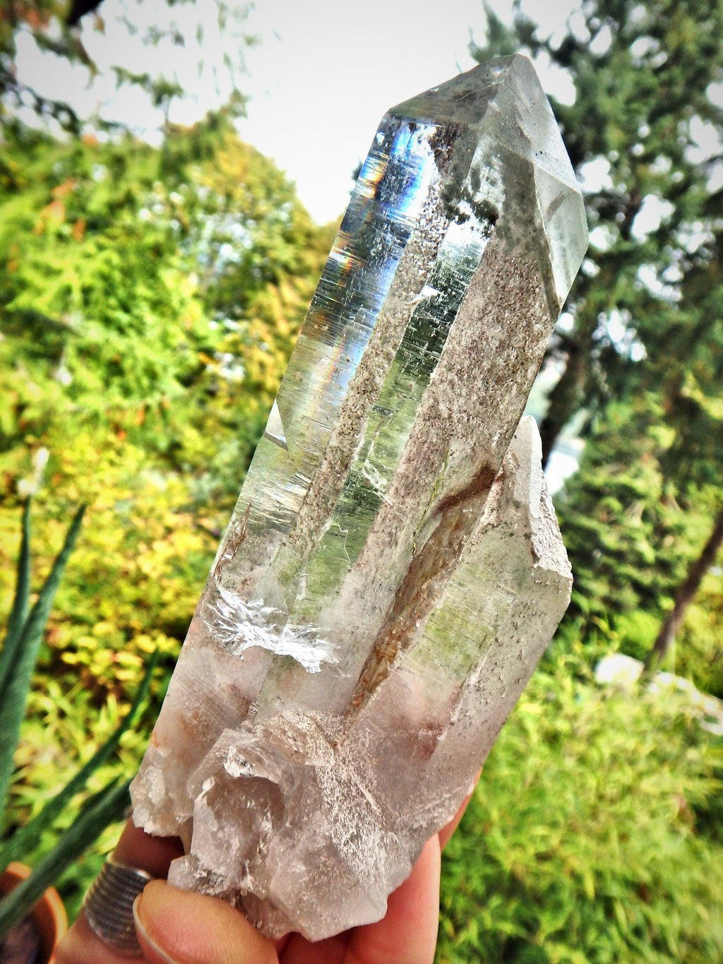 Brilliant Samadhi Twin Himalayan Quartz Large Cluster With Green Chlorite Inclusions & Self Healing - Earth Family Crystals