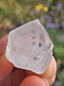 Rare & Powerful~Star Hollandite Quartz Dainty Point From Madagascar 1 - Earth Family Crystals