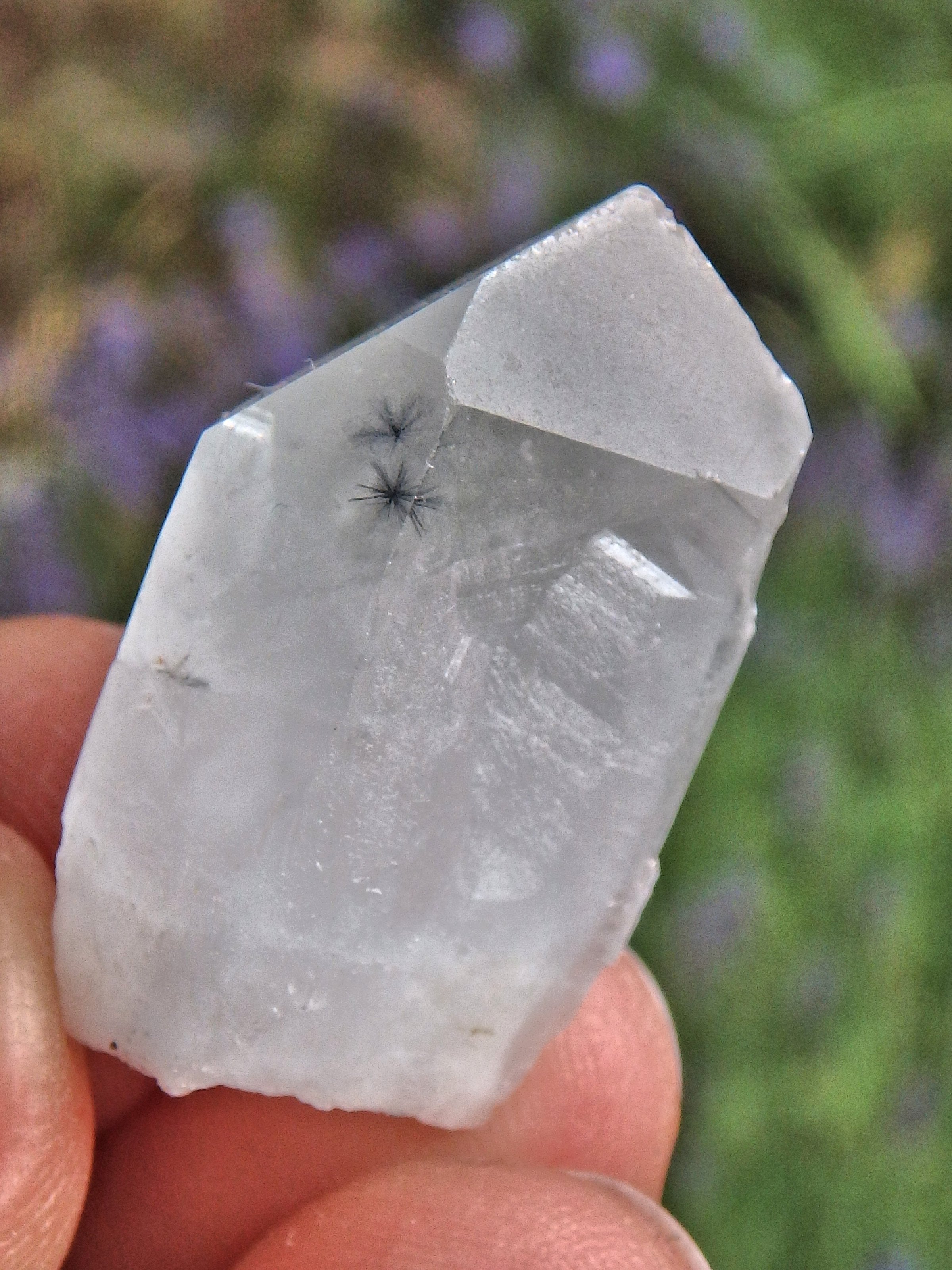 Rare & Powerful~Star Hollandite Quartz Dainty Point From Madagascar 2 - Earth Family Crystals