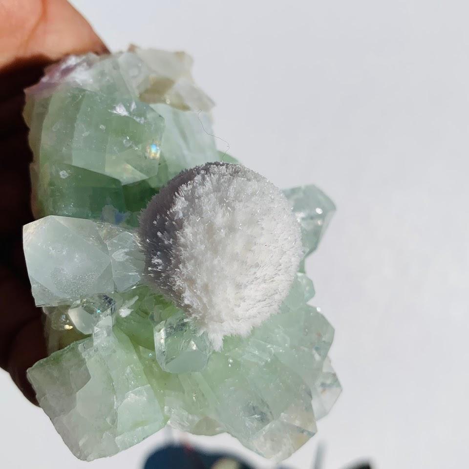 Rare Creamy White Mordenite Nestled in Green Apophyllite Matrix from India - Earth Family Crystals