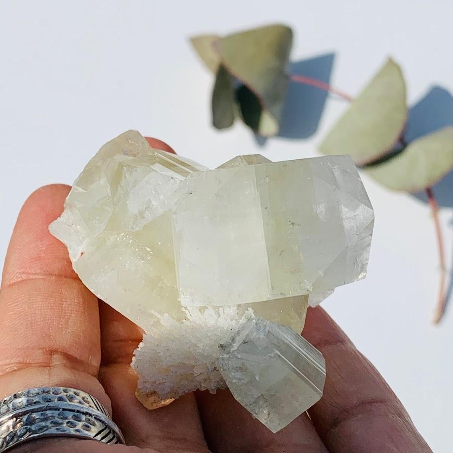 Gemmy Green & Clear Apophyllite Cluster from India #8 - Earth Family Crystals