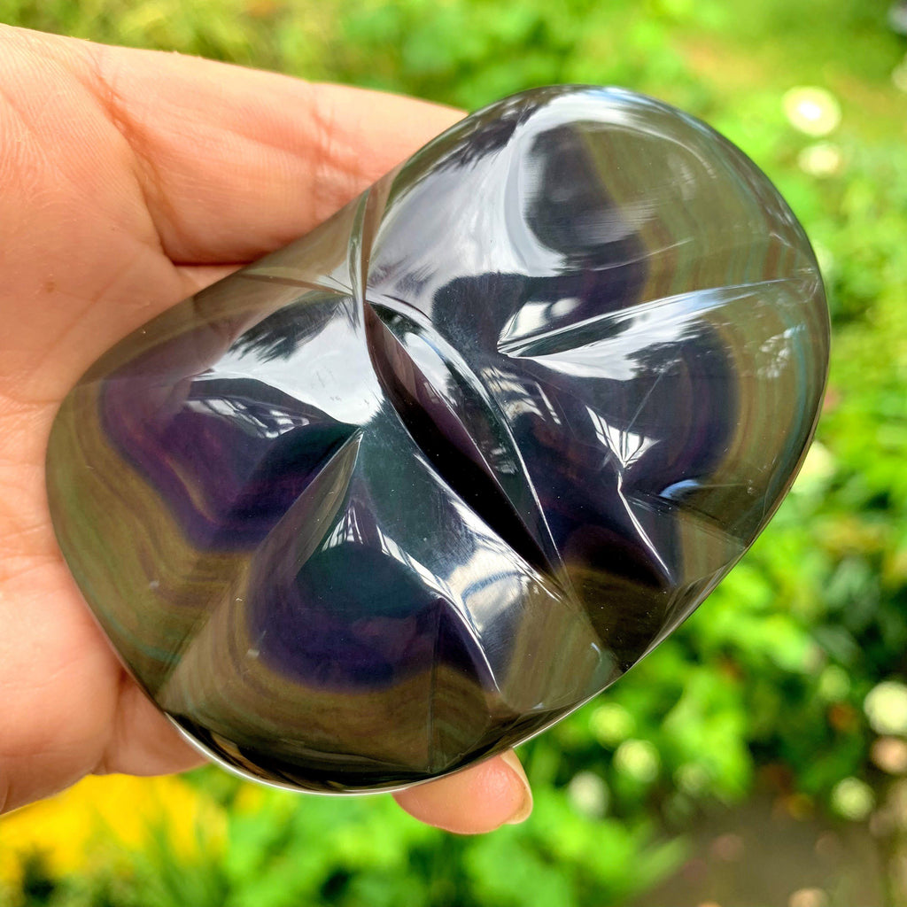 Adorable Butterfly Rainbow Obsidian Display Specimen from Mexico - Earth Family Crystals
