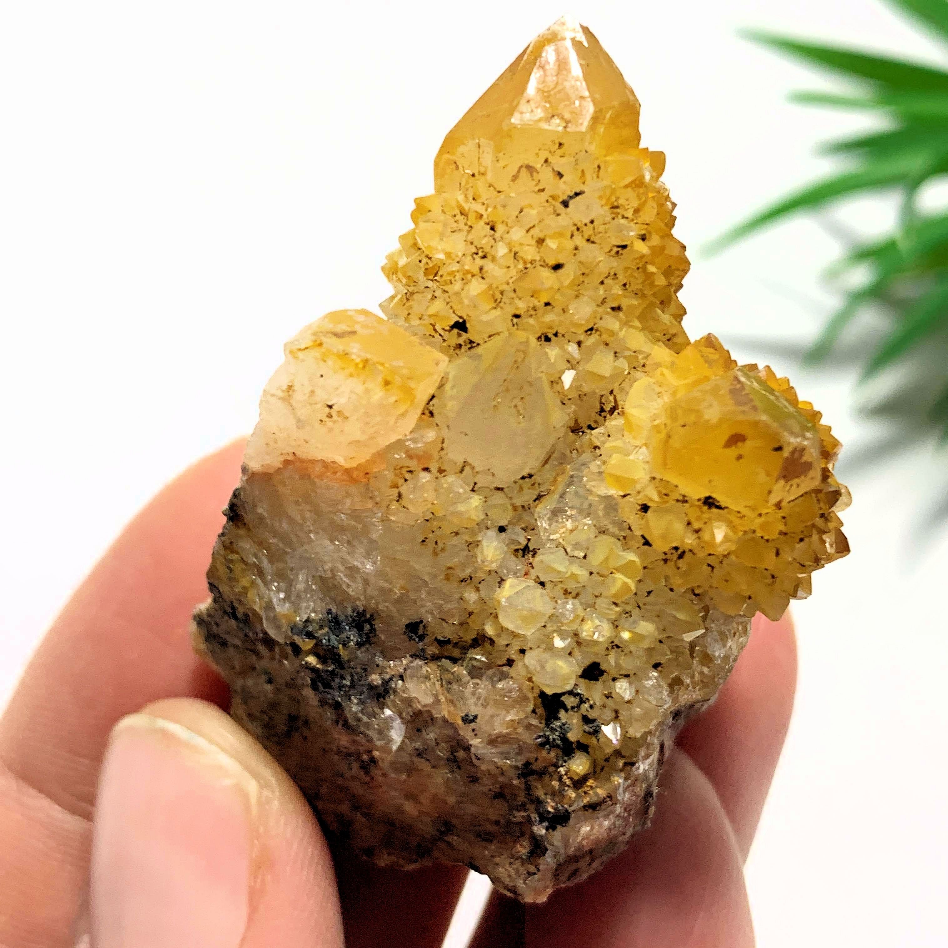 Golden Citrine Spirit Quartz Natural Cluster from S.Africa