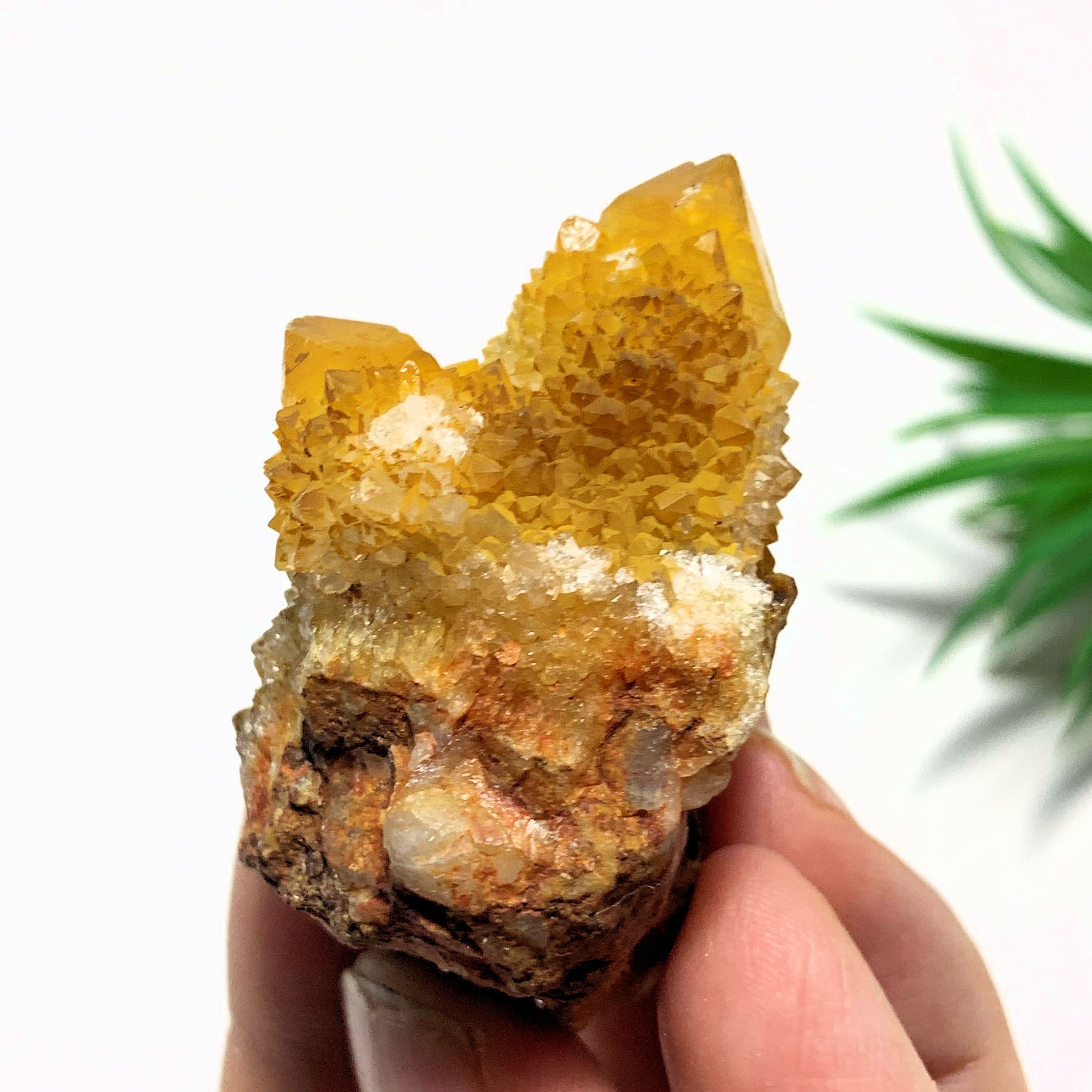 Golden Citrine Spirit Quartz Natural Cluster from S.Africa