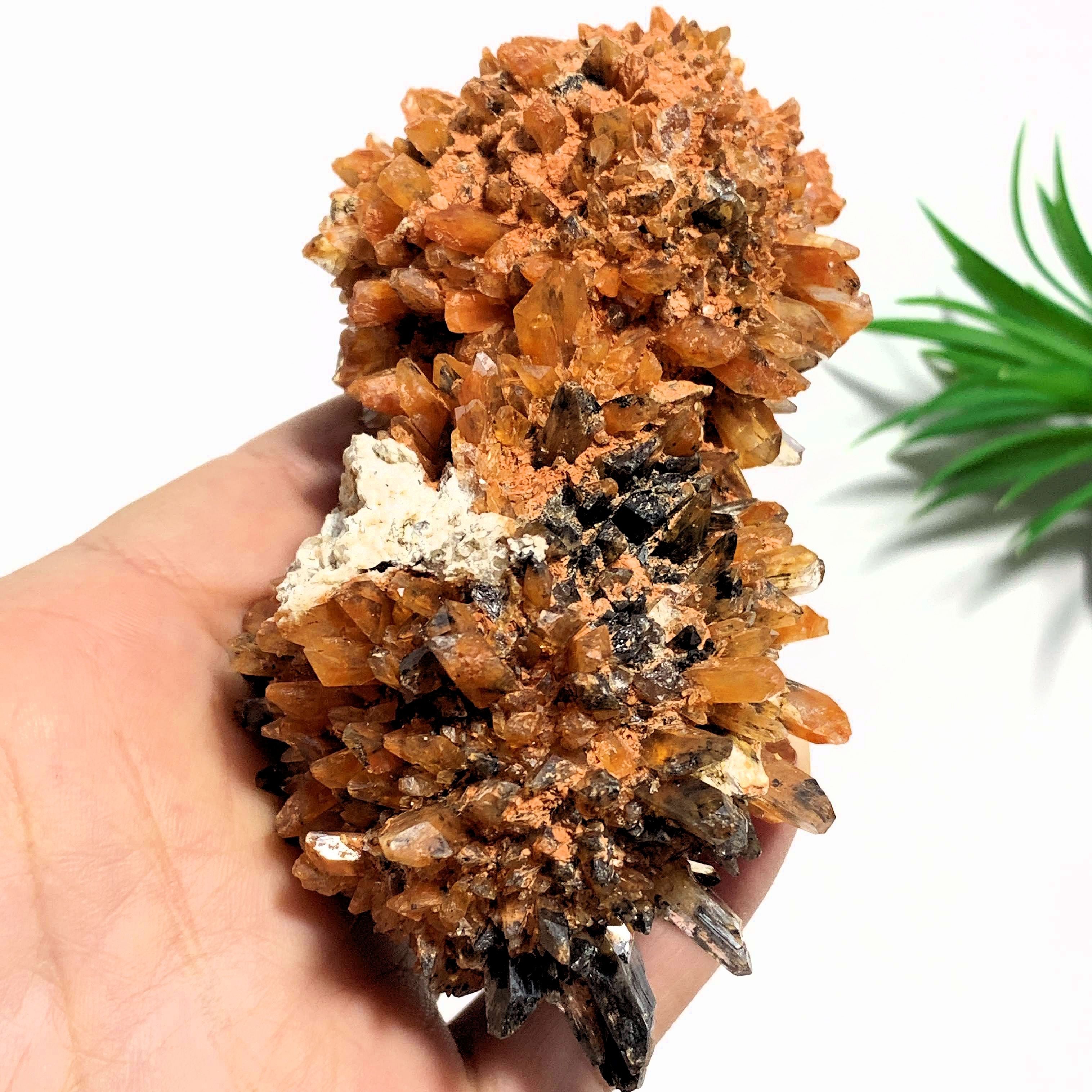 Fabulous & Rare Large Orange Creedite Specimen~Locality Mexico