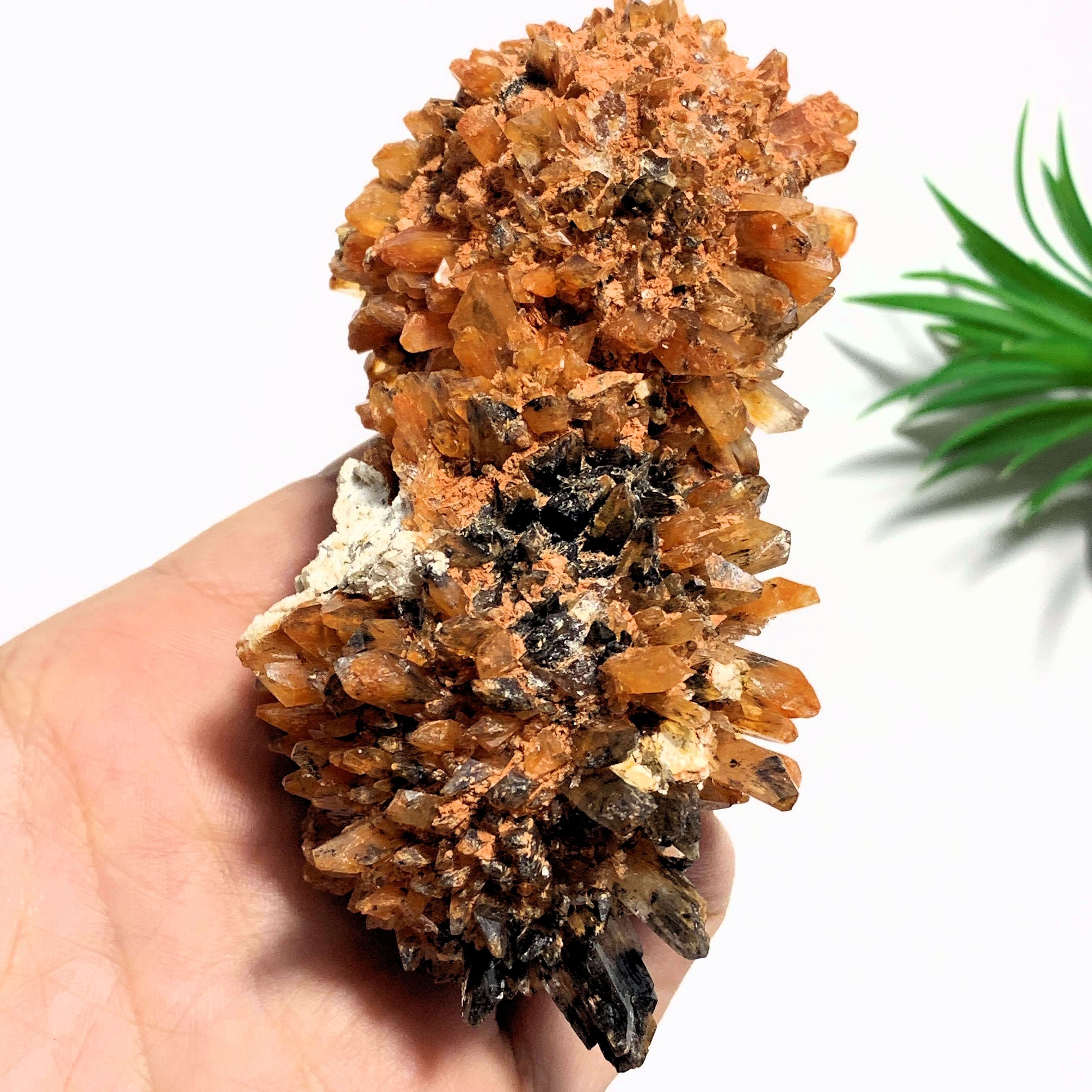 Fabulous & Rare Large Orange Creedite Specimen~Locality Mexico