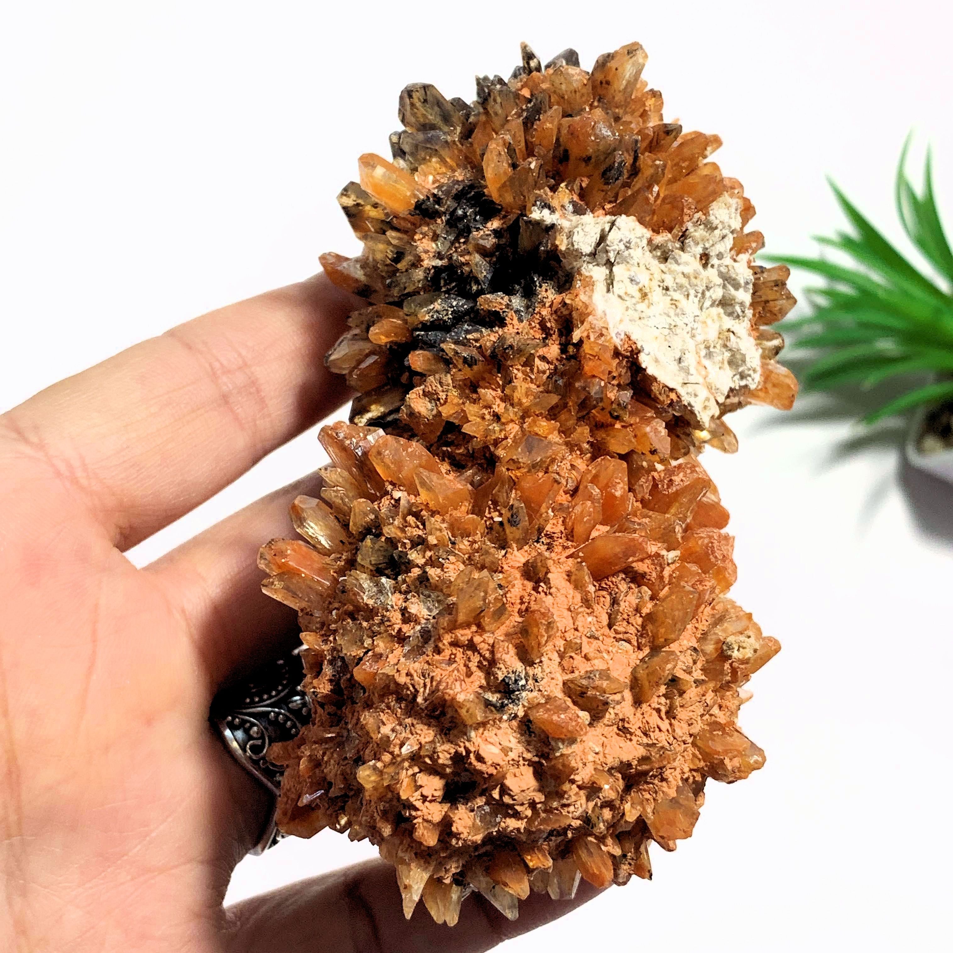 Fabulous & Rare Large Orange Creedite Specimen~Locality Mexico