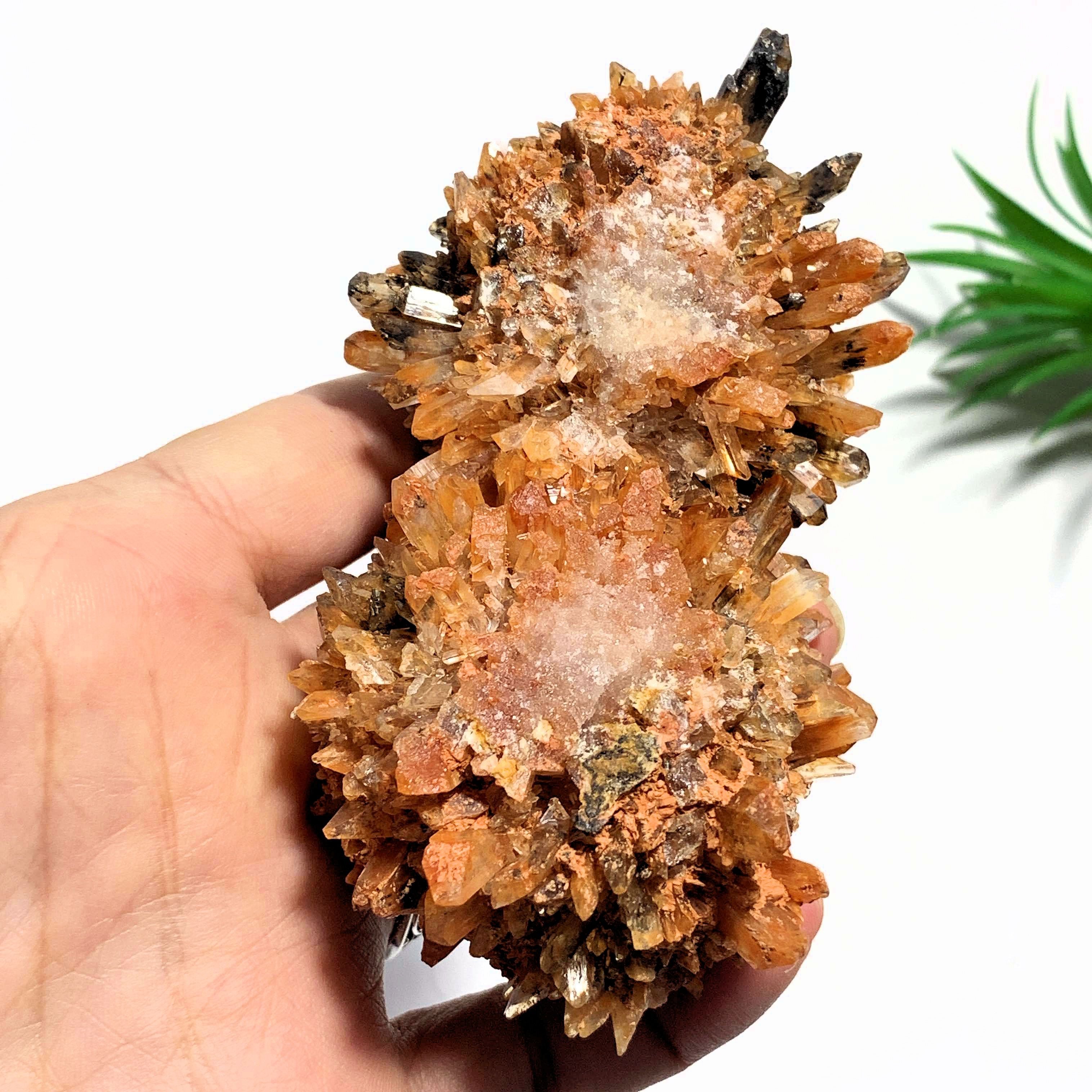 Fabulous & Rare Large Orange Creedite Specimen~Locality Mexico