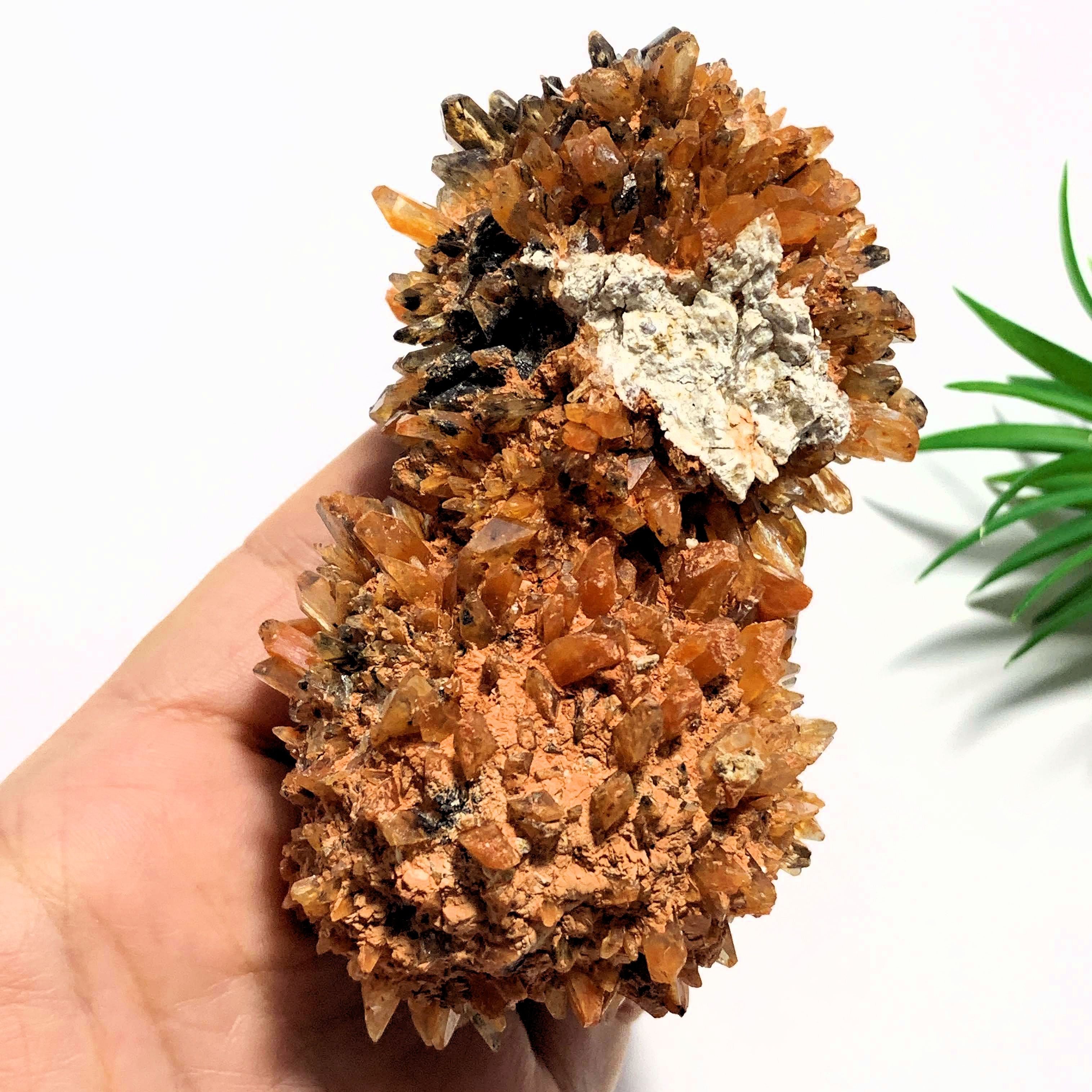 Fabulous & Rare Large Orange Creedite Specimen~Locality Mexico