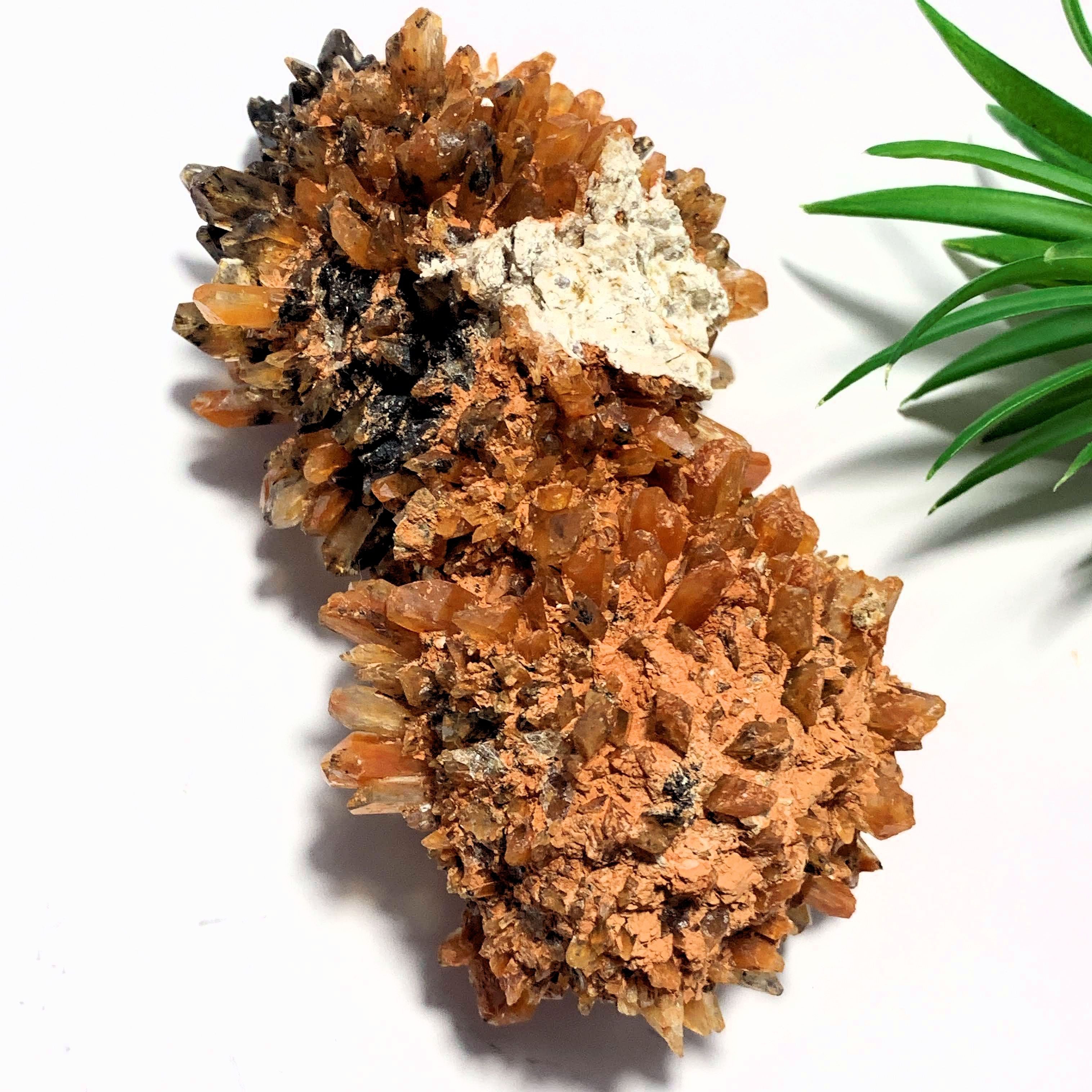 Fabulous & Rare Large Orange Creedite Specimen~Locality Mexico