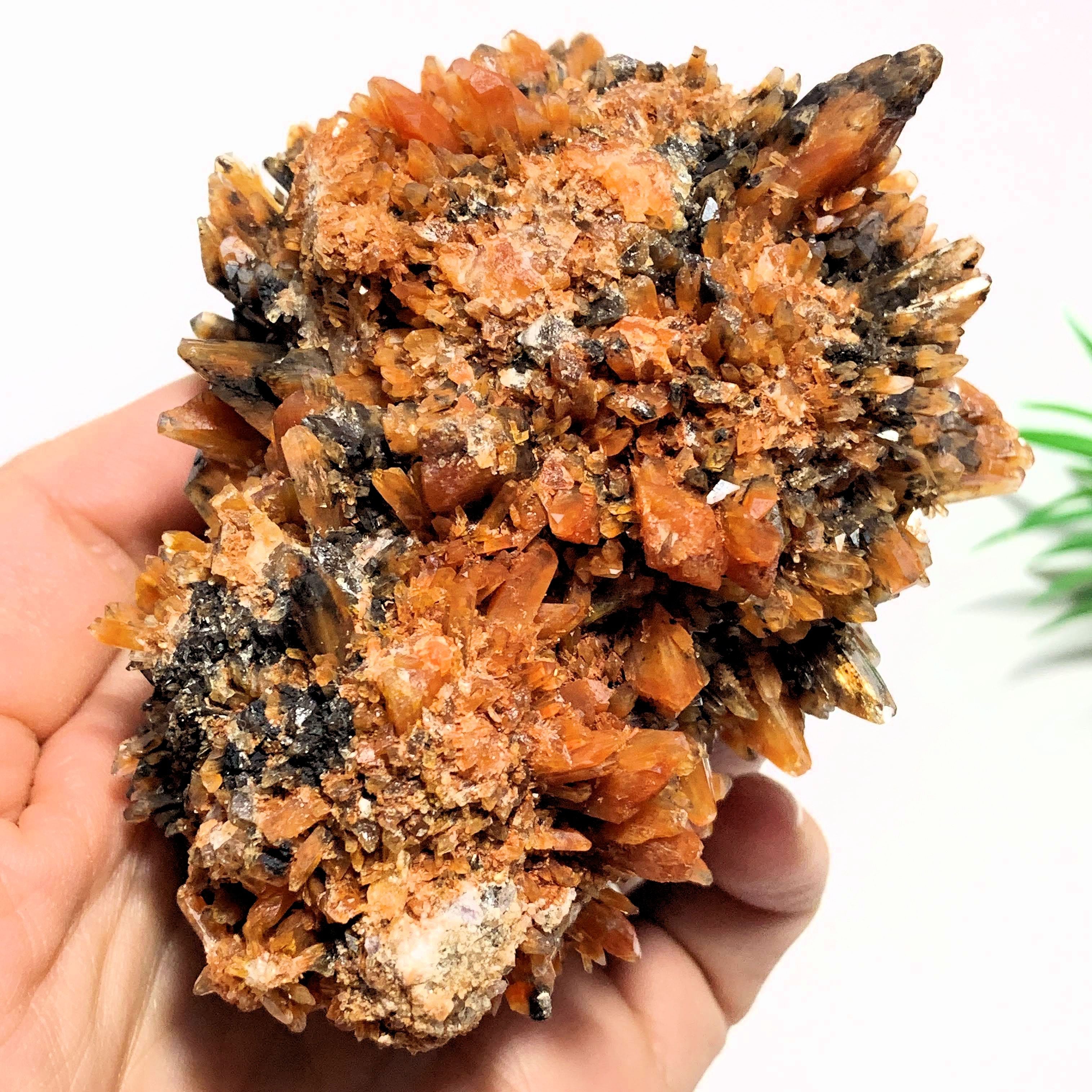 Beautiful Color Contrast Large & Rare Creedite Specimen~Locality Mexico