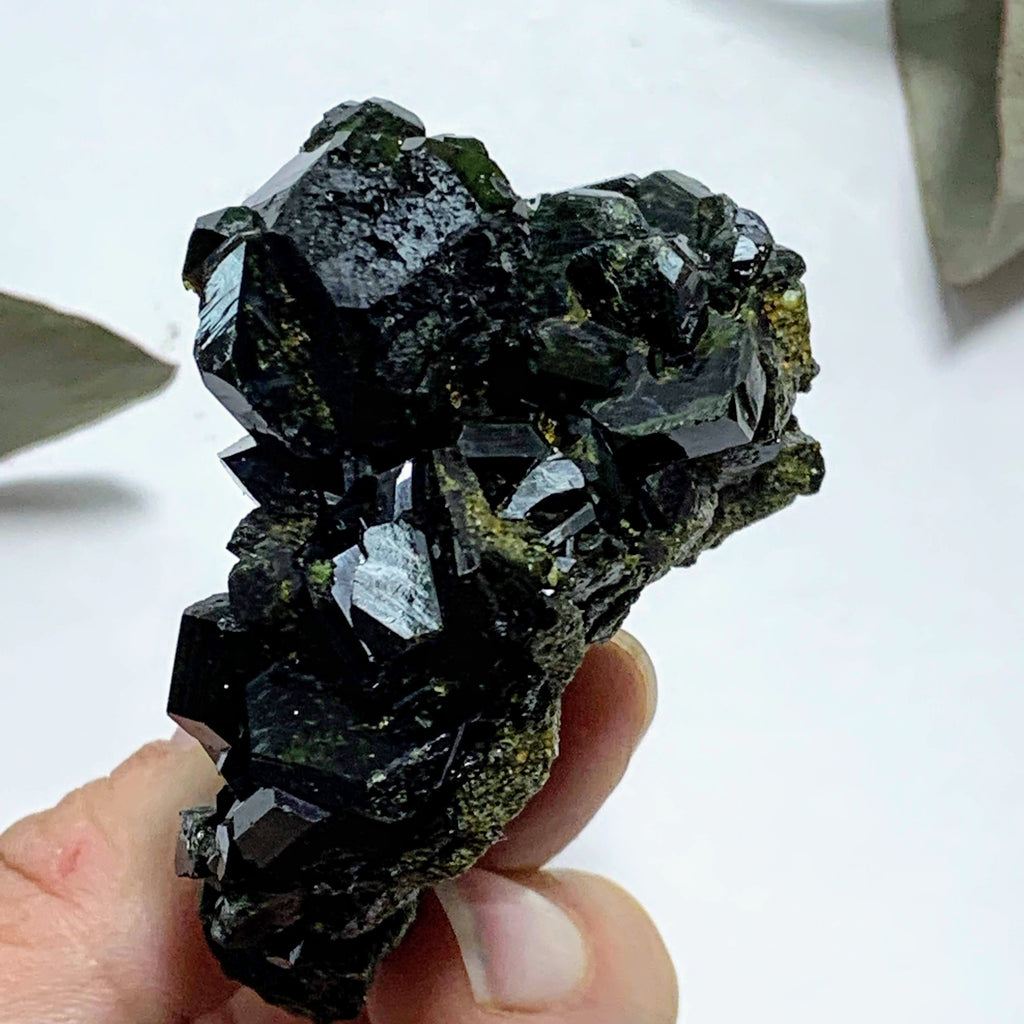 Fascinating Deep Forest Green Natural Epidote Cluster #1 - Earth Family Crystals