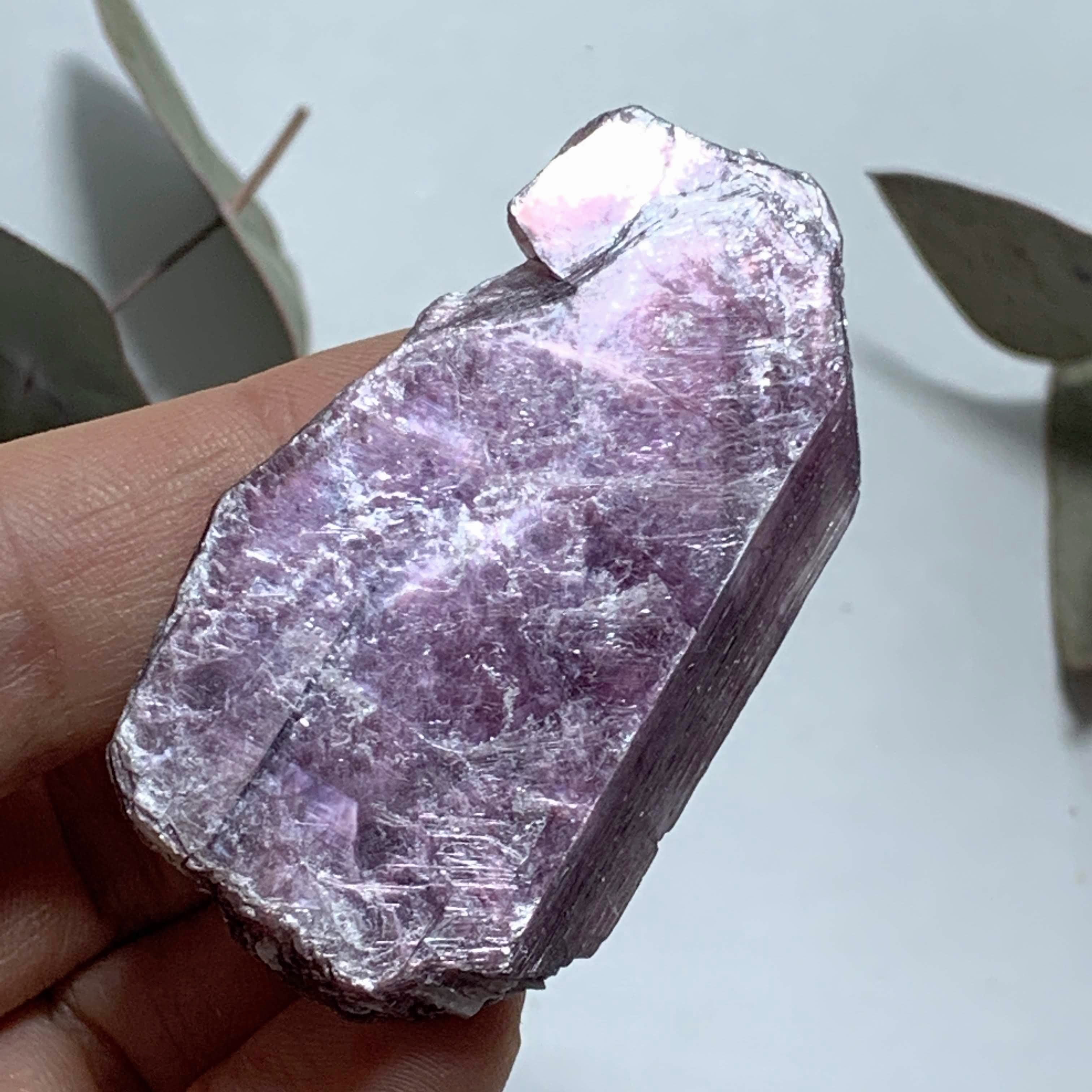 Gemmy Deep Violet Purple & High Shine Raw Lepidolite Specimen From Brazil #3 - Earth Family Crystals