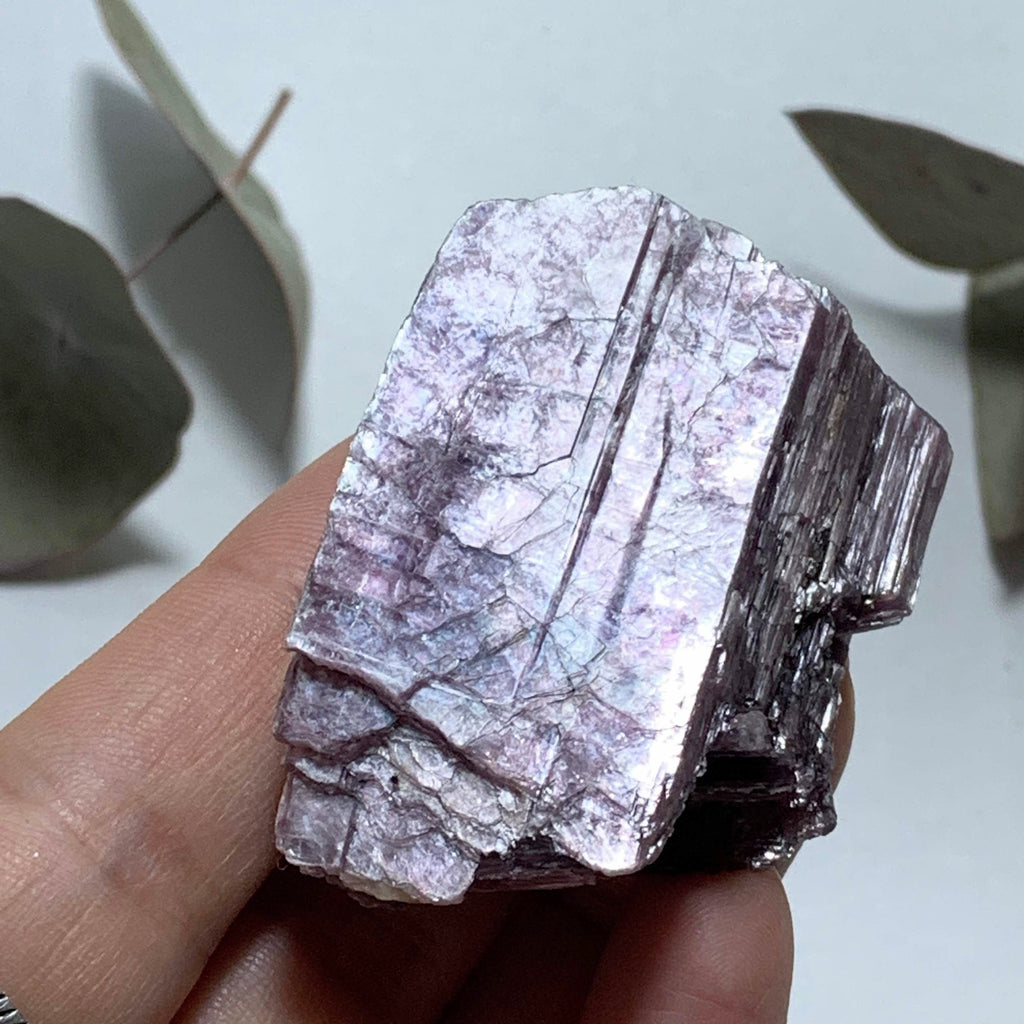Gemmy Deep Violet Purple & High Shine Raw Lepidolite Specimen From Brazil #4 - Earth Family Crystals