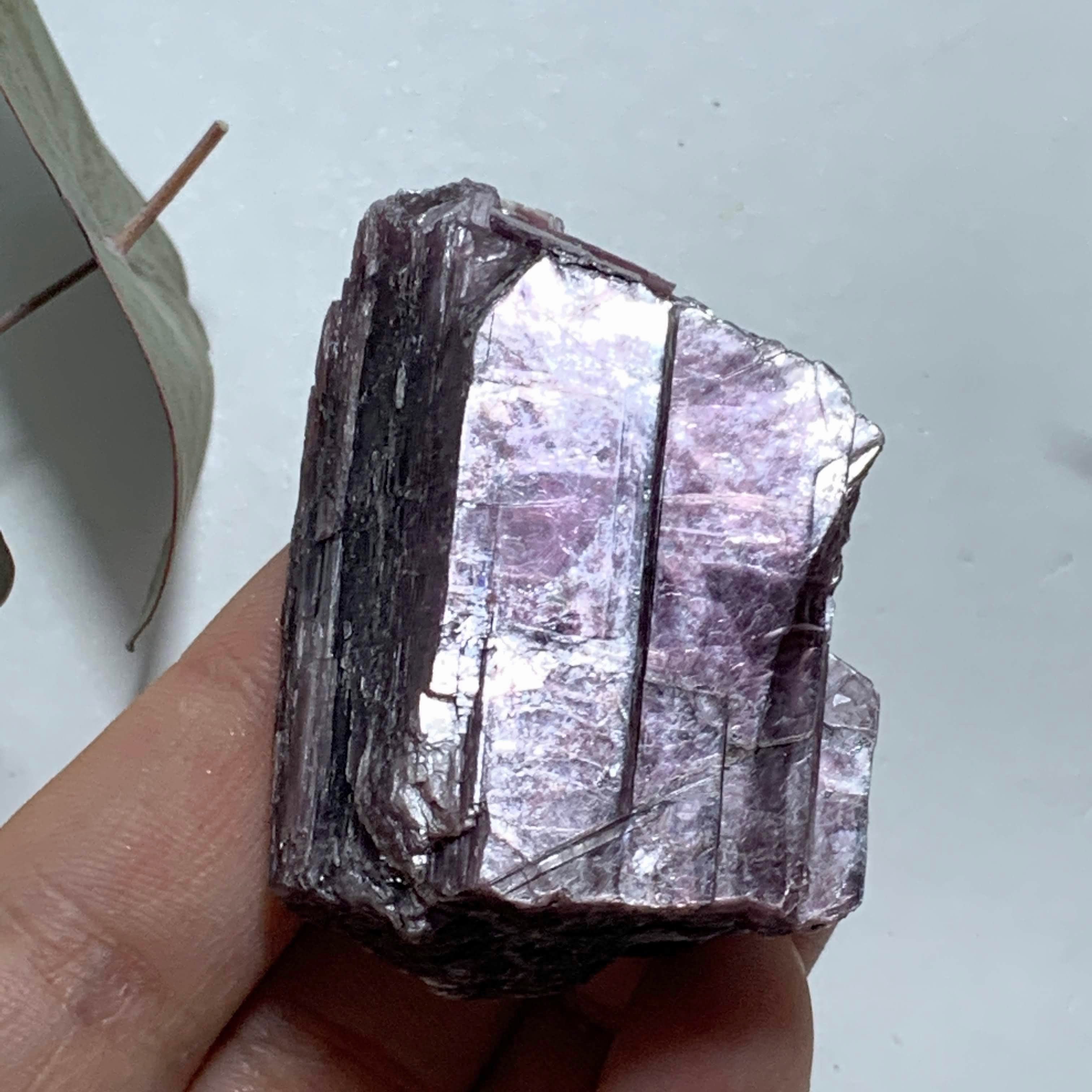 Gemmy Deep Violet Purple & High Shine Raw Lepidolite Specimen From Brazil #4 - Earth Family Crystals