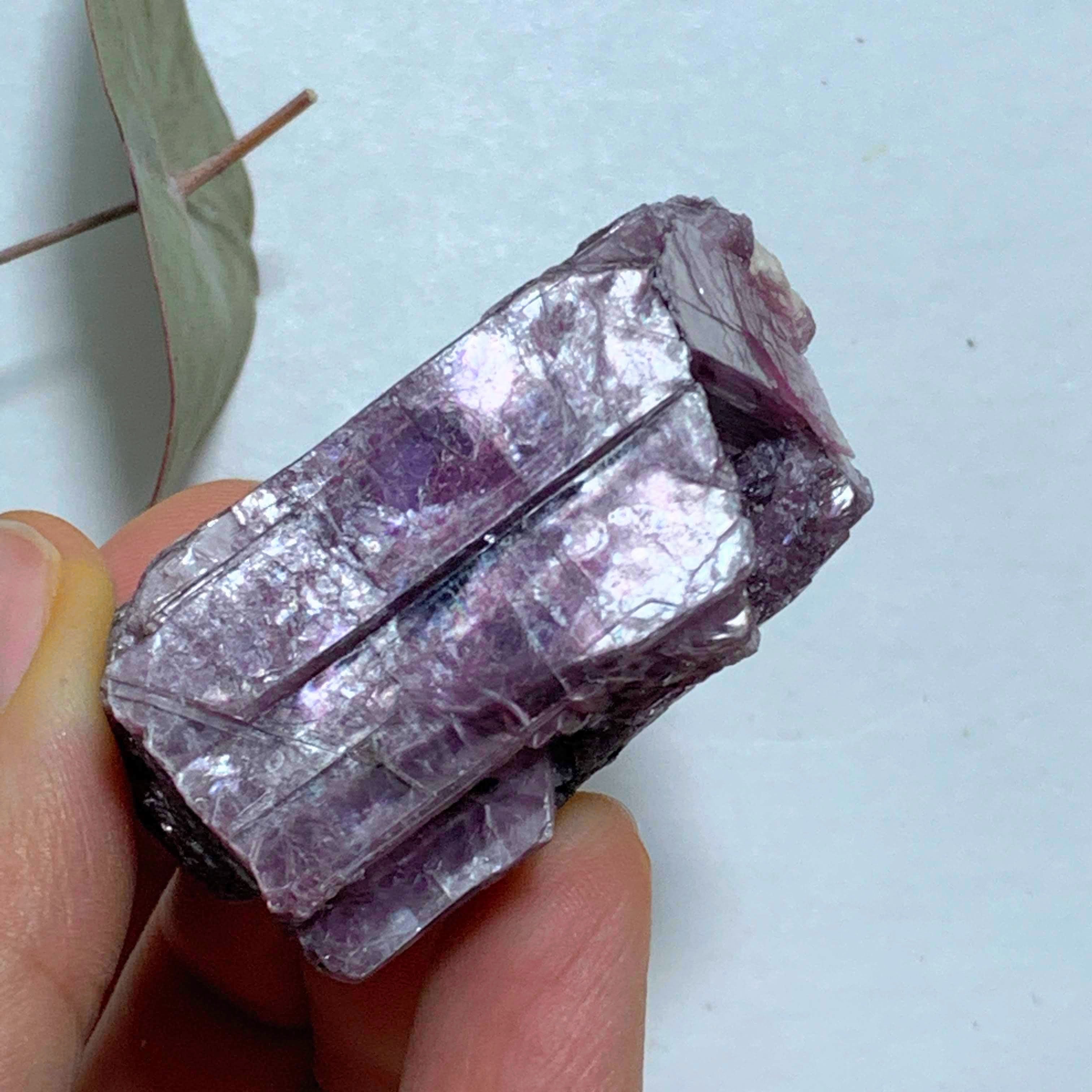 Gemmy Deep Violet Purple & High Shine Raw Lepidolite Specimen From Brazil #4 - Earth Family Crystals