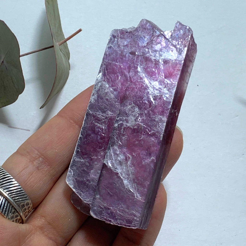 Gemmy Deep Violet Purple & High Shine Raw Lepidolite Specimen From Brazil #5 - Earth Family Crystals