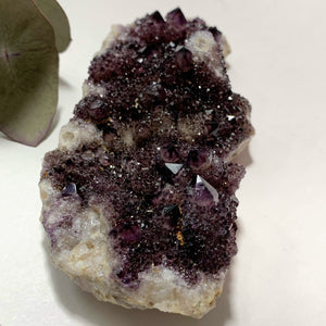 Sparkling Deep Purple Amethyst Spirit Quartz Large Cluster - Earth Family Crystals