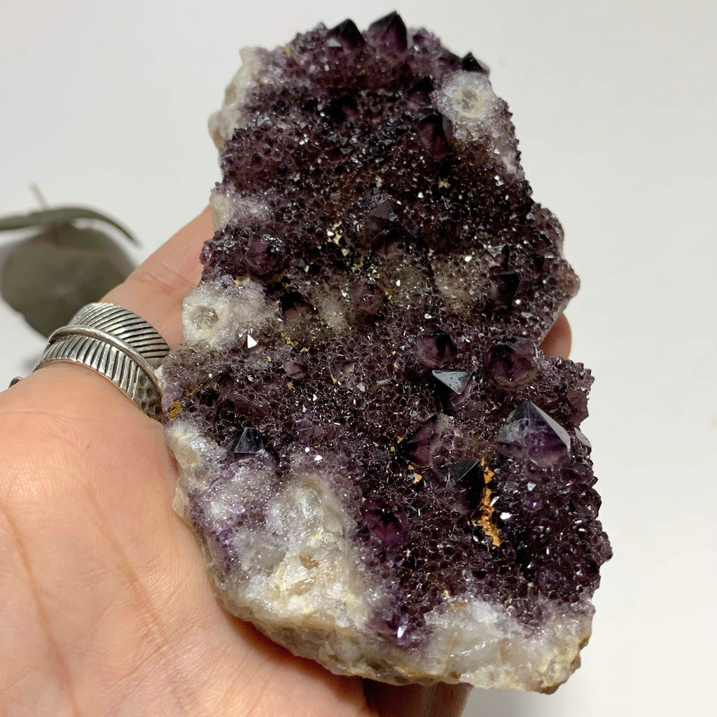 Sparkling Deep Purple Amethyst Spirit Quartz Large Cluster - Earth Family Crystals