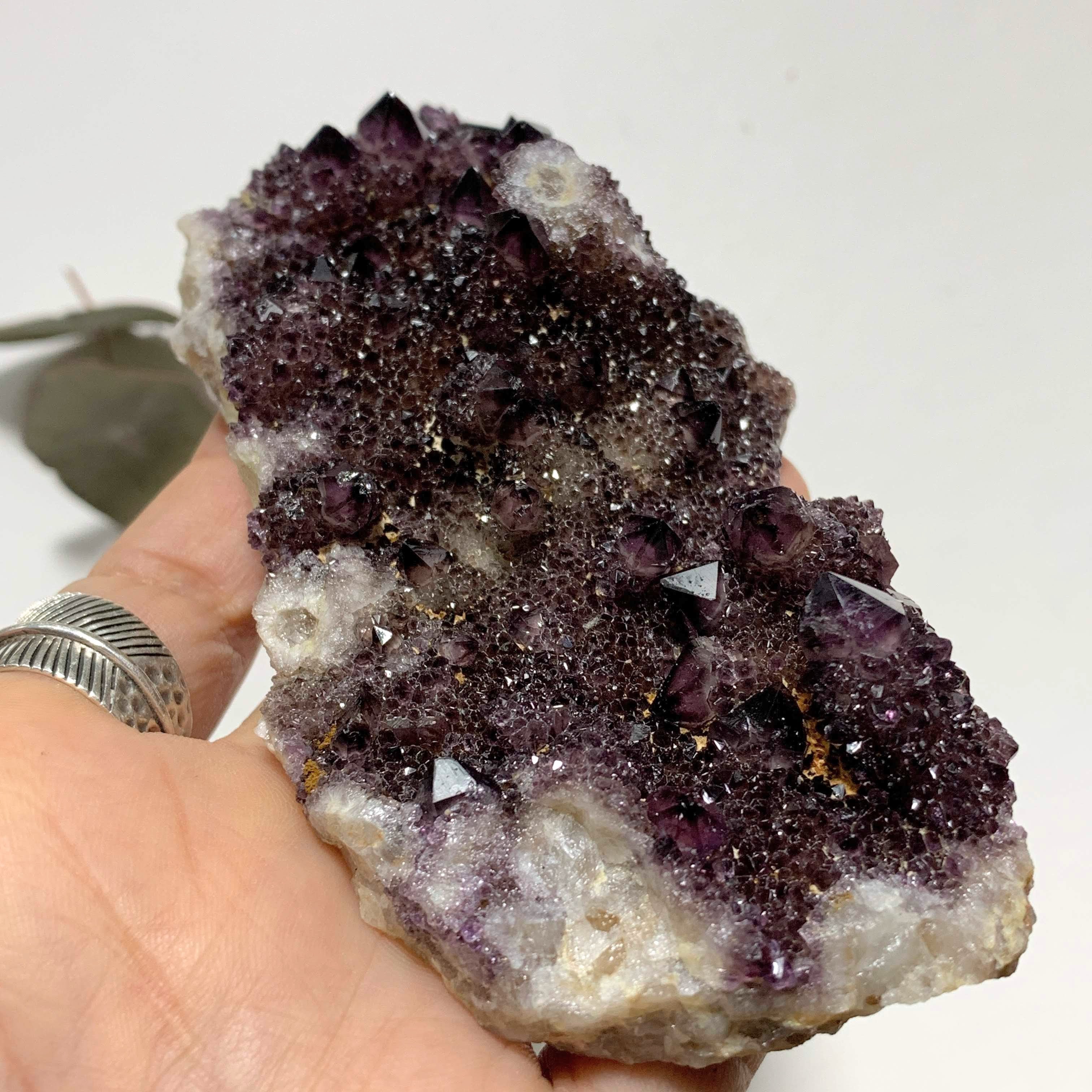 Sparkling Deep Purple Amethyst Spirit Quartz Large Cluster - Earth Family Crystals