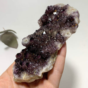 Sparkling Deep Purple Amethyst Spirit Quartz Large Cluster - Earth Family Crystals