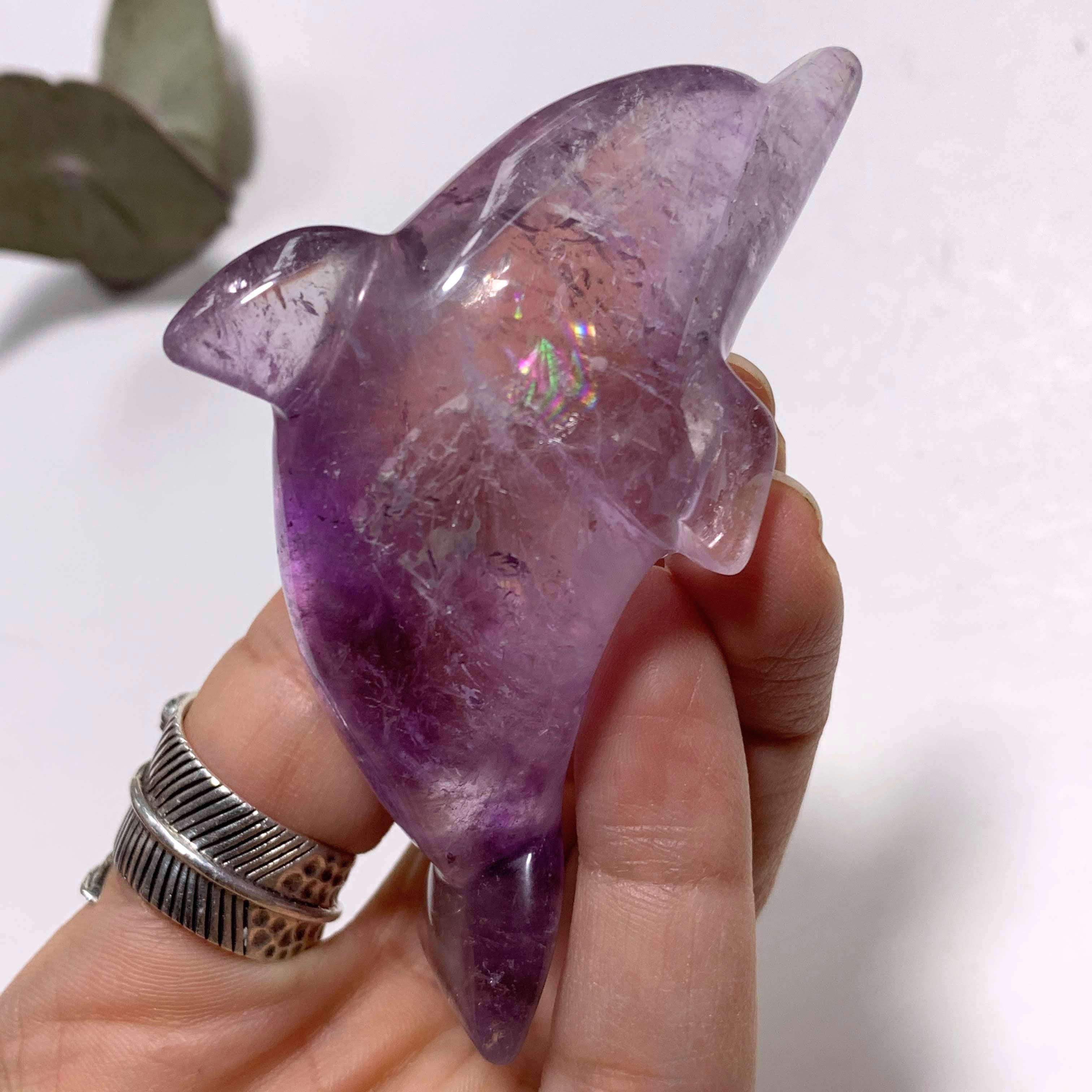 Brilliant Rainbow Inclusion! Optical Amethyst Dolphin Display Carving - Earth Family Crystals