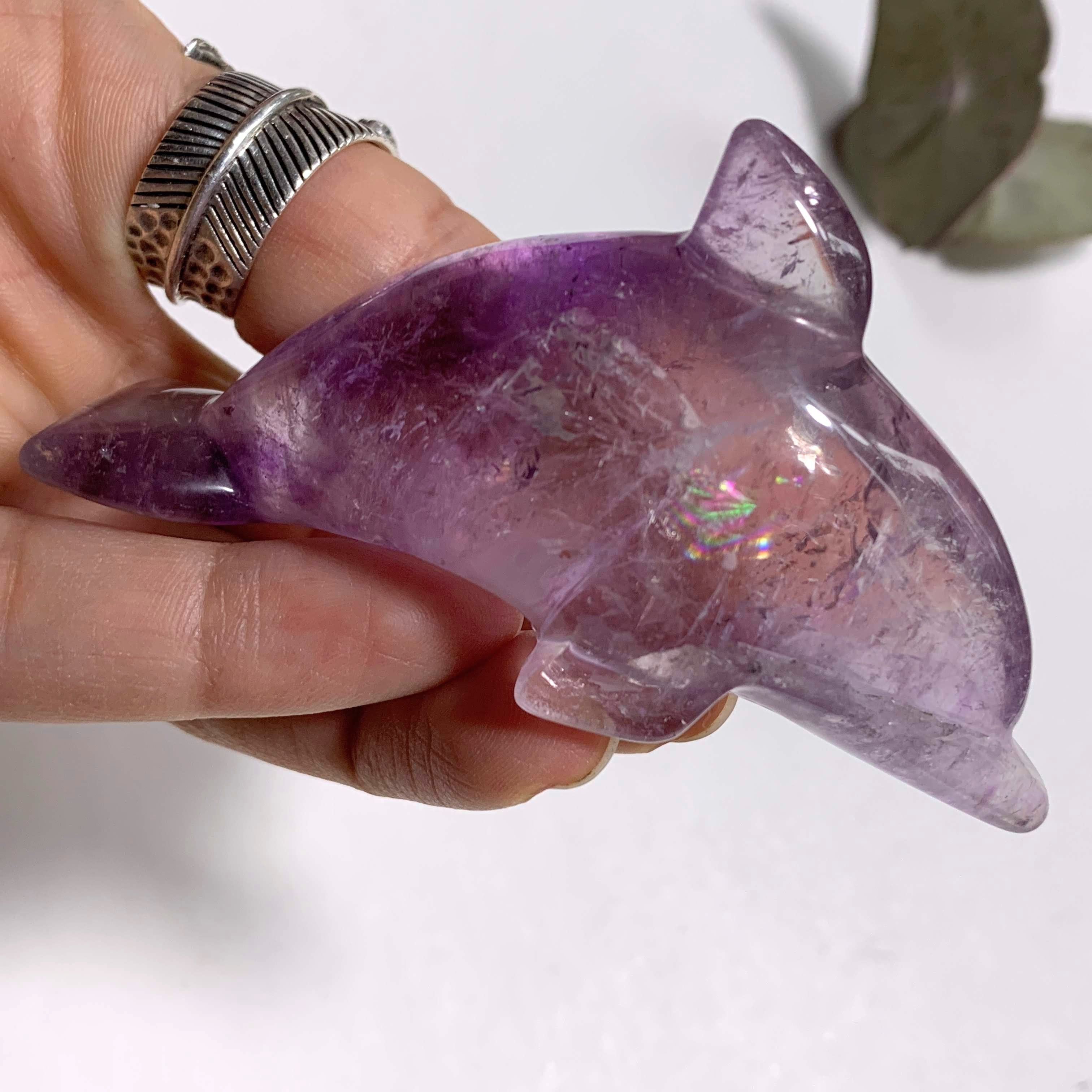 Brilliant Rainbow Inclusion! Optical Amethyst Dolphin Display Carving - Earth Family Crystals