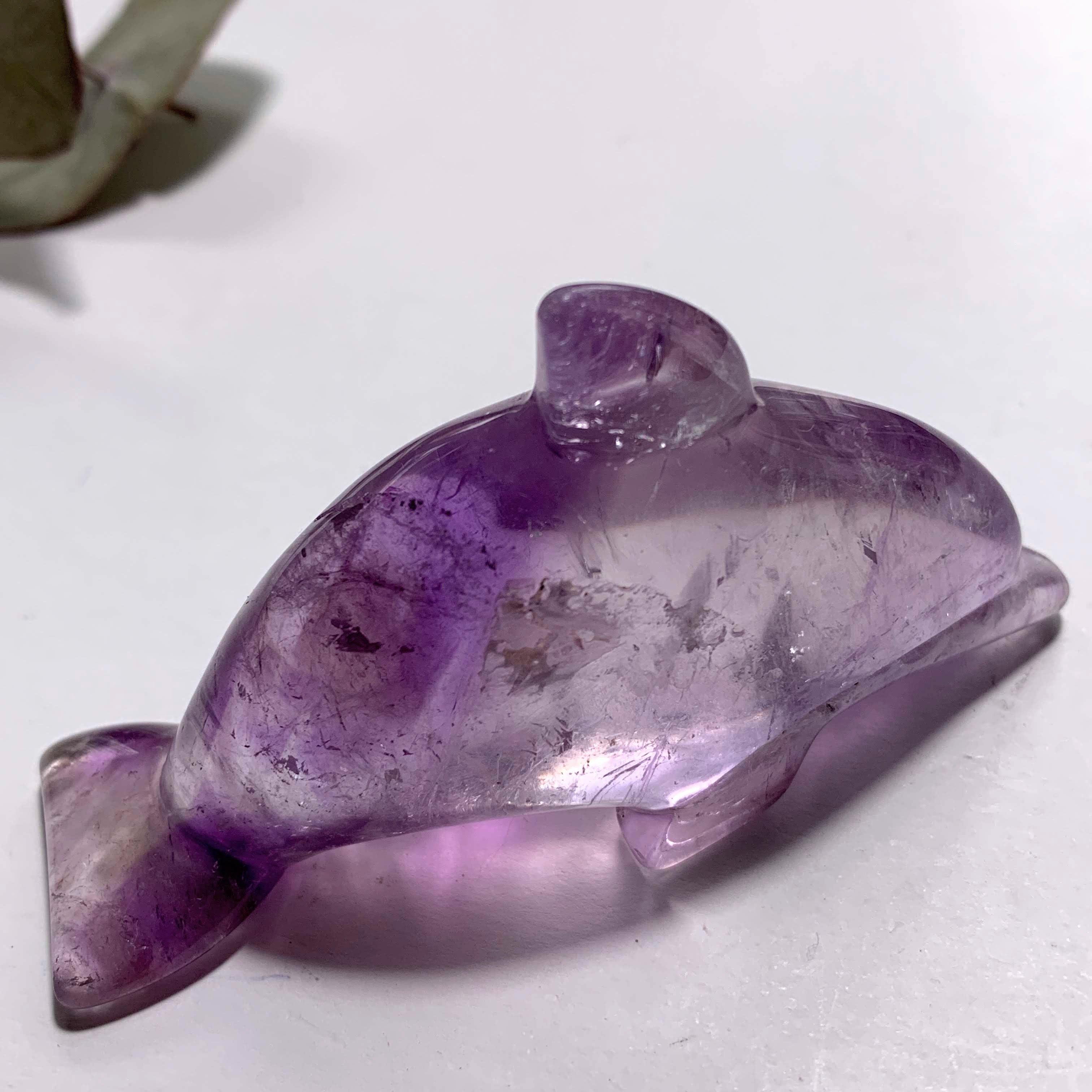 Brilliant Rainbow Inclusion! Optical Amethyst Dolphin Display Carving - Earth Family Crystals