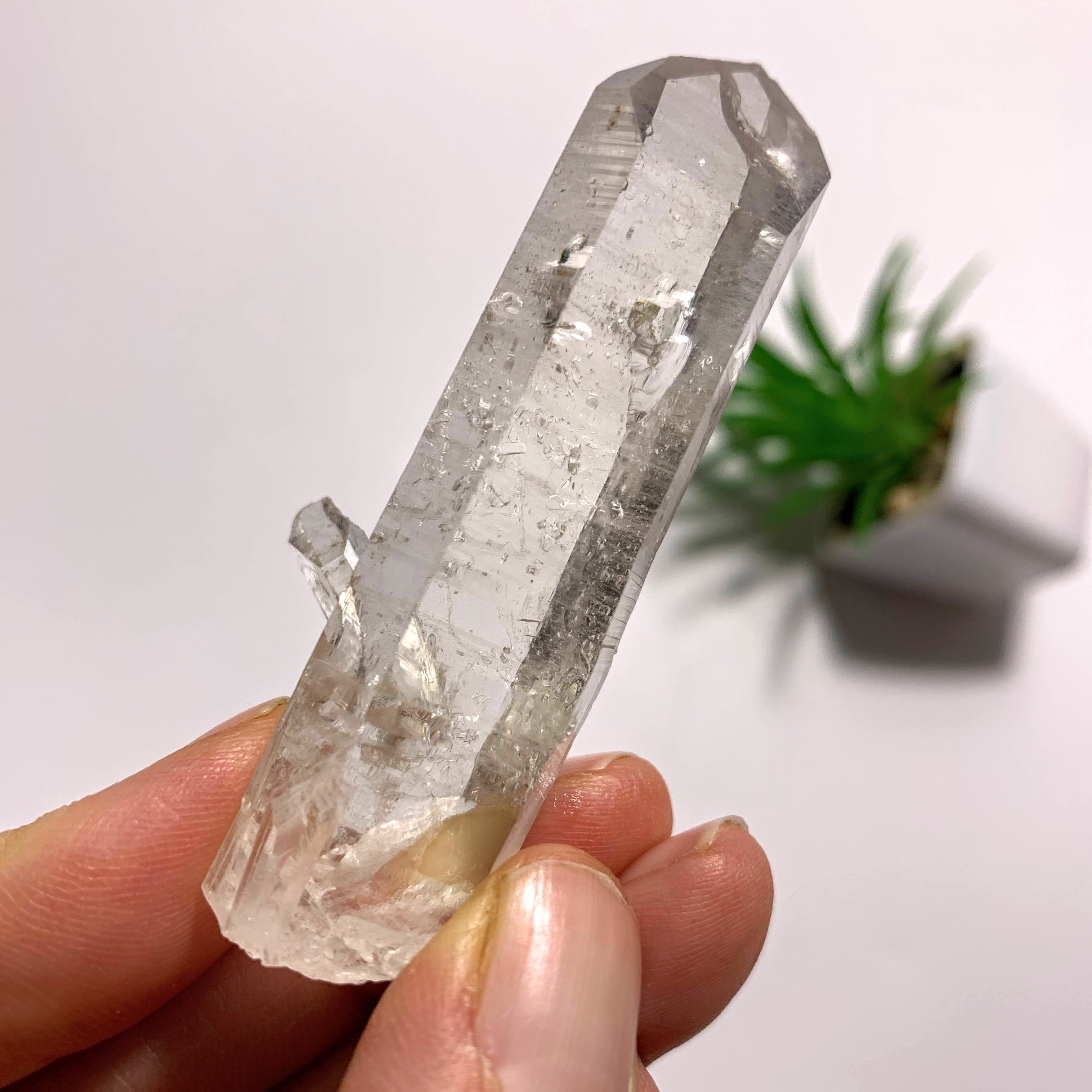 Arkansas Natural Clear Quartz Point Specimen