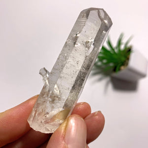 Arkansas Natural Clear Quartz Point Specimen