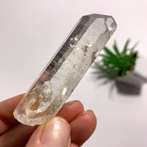 Arkansas Natural Clear Quartz Point Specimen