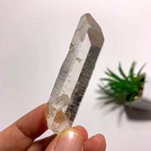 Arkansas Natural Clear Quartz Point Specimen