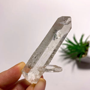 Arkansas Natural Clear Quartz Point Specimen