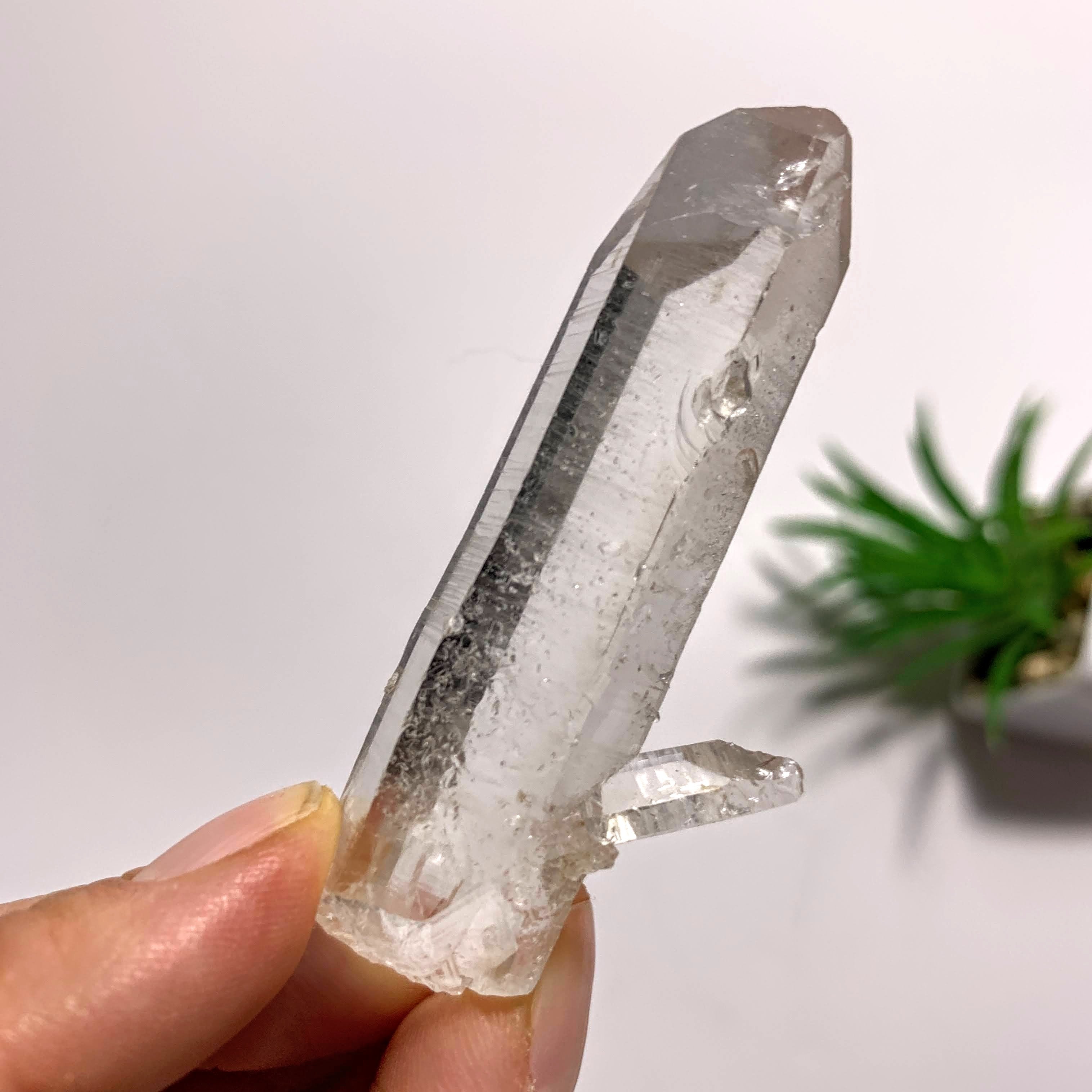 Arkansas Natural Clear Quartz Point Specimen