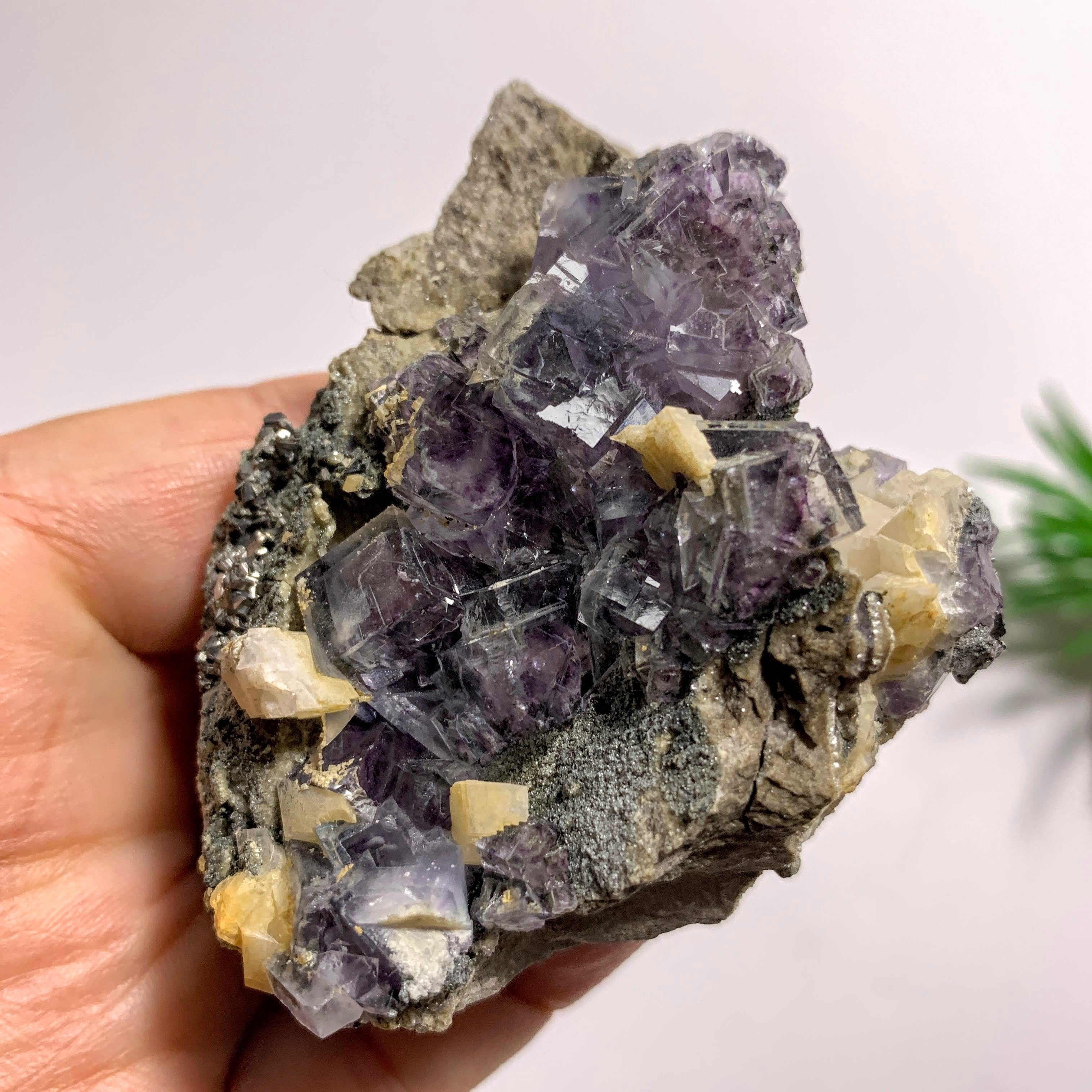 Rare Combo~Natural Cubic Purple Fluorite, Dolomite & Arsenopyrite Specimen