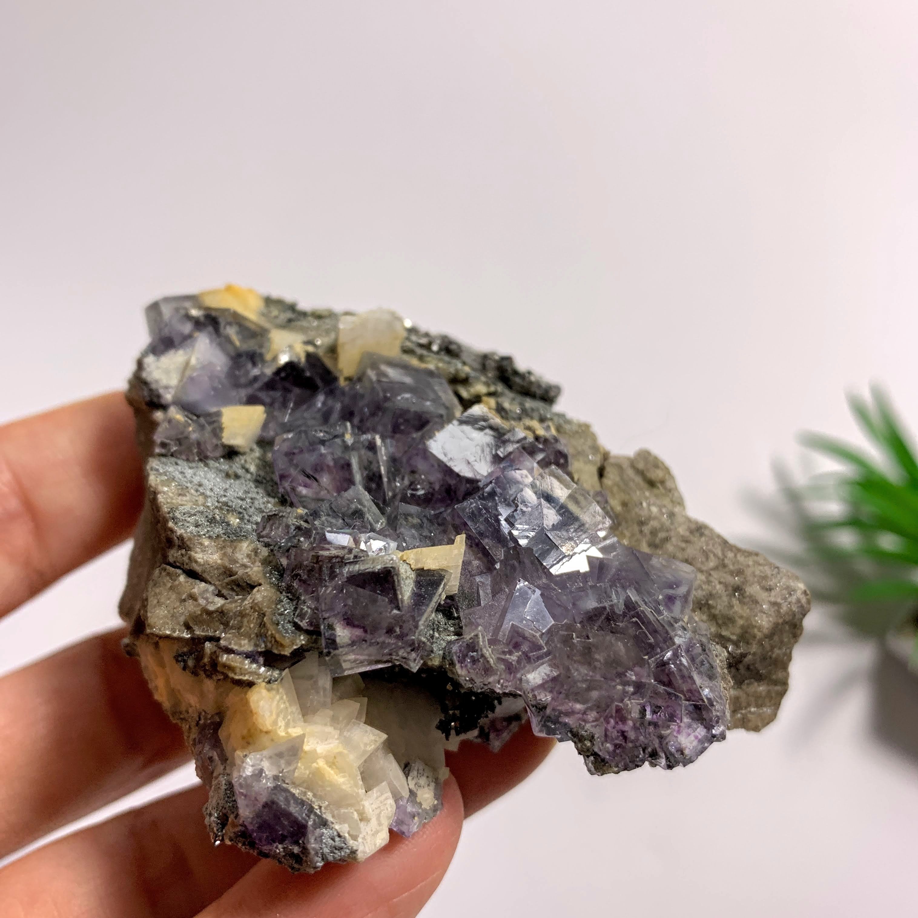 Rare Combo~Natural Cubic Purple Fluorite, Dolomite & Arsenopyrite Specimen