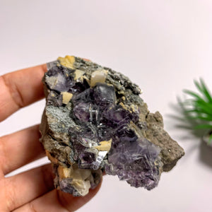 Rare Combo~Natural Cubic Purple Fluorite, Dolomite & Arsenopyrite Specimen