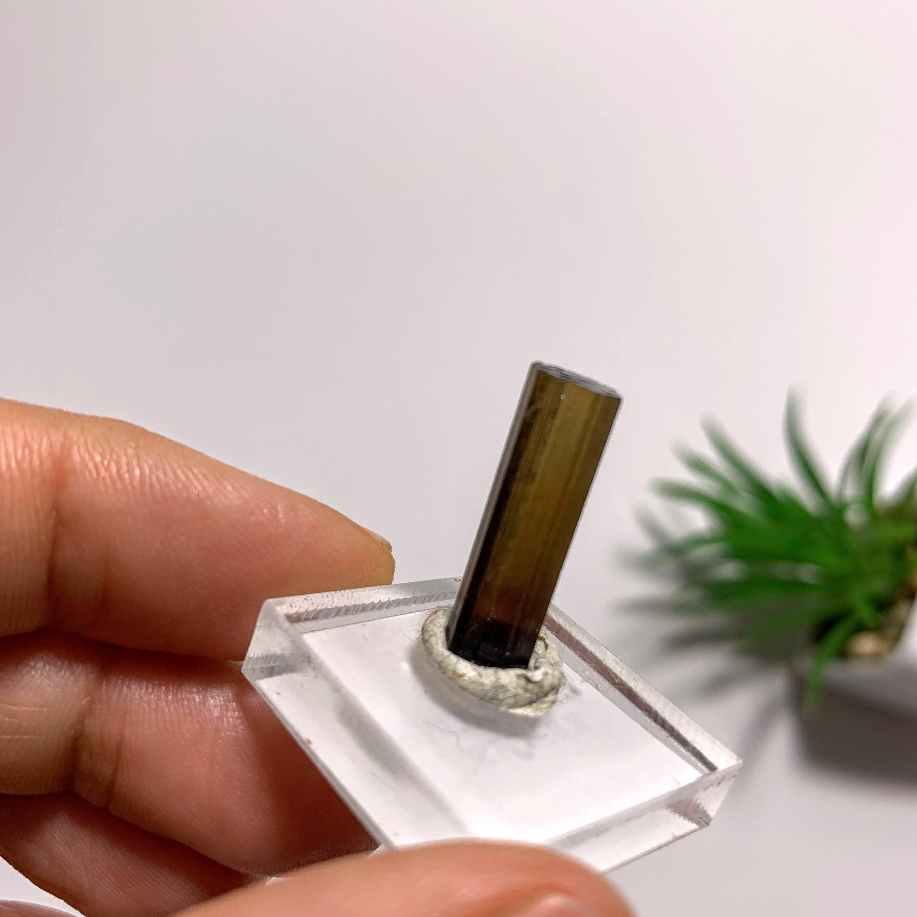 Deep Orange Raw & Natural Tourmaline Point on Display Stand~Locality Brazil