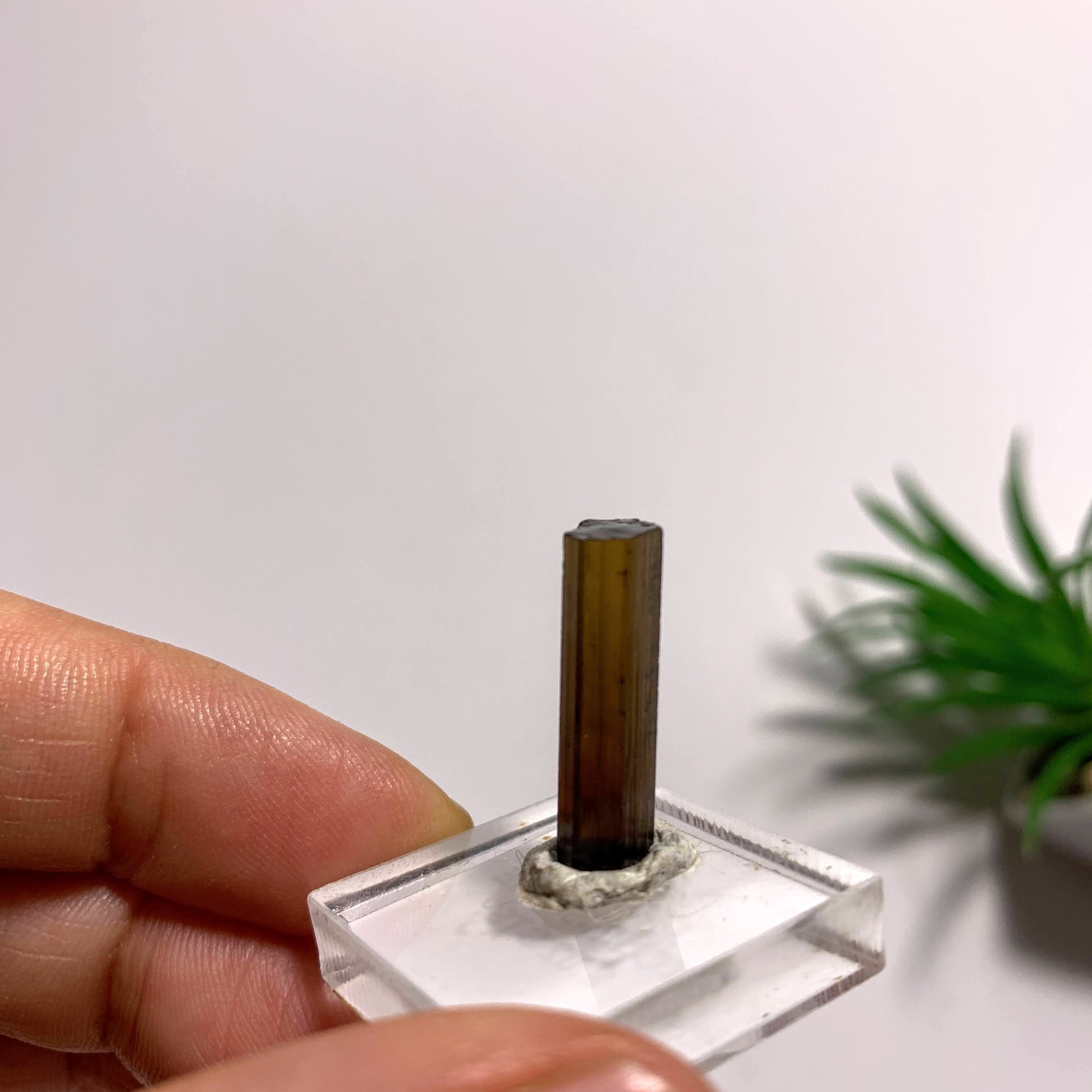 Deep Orange Raw & Natural Tourmaline Point on Display Stand~Locality Brazil