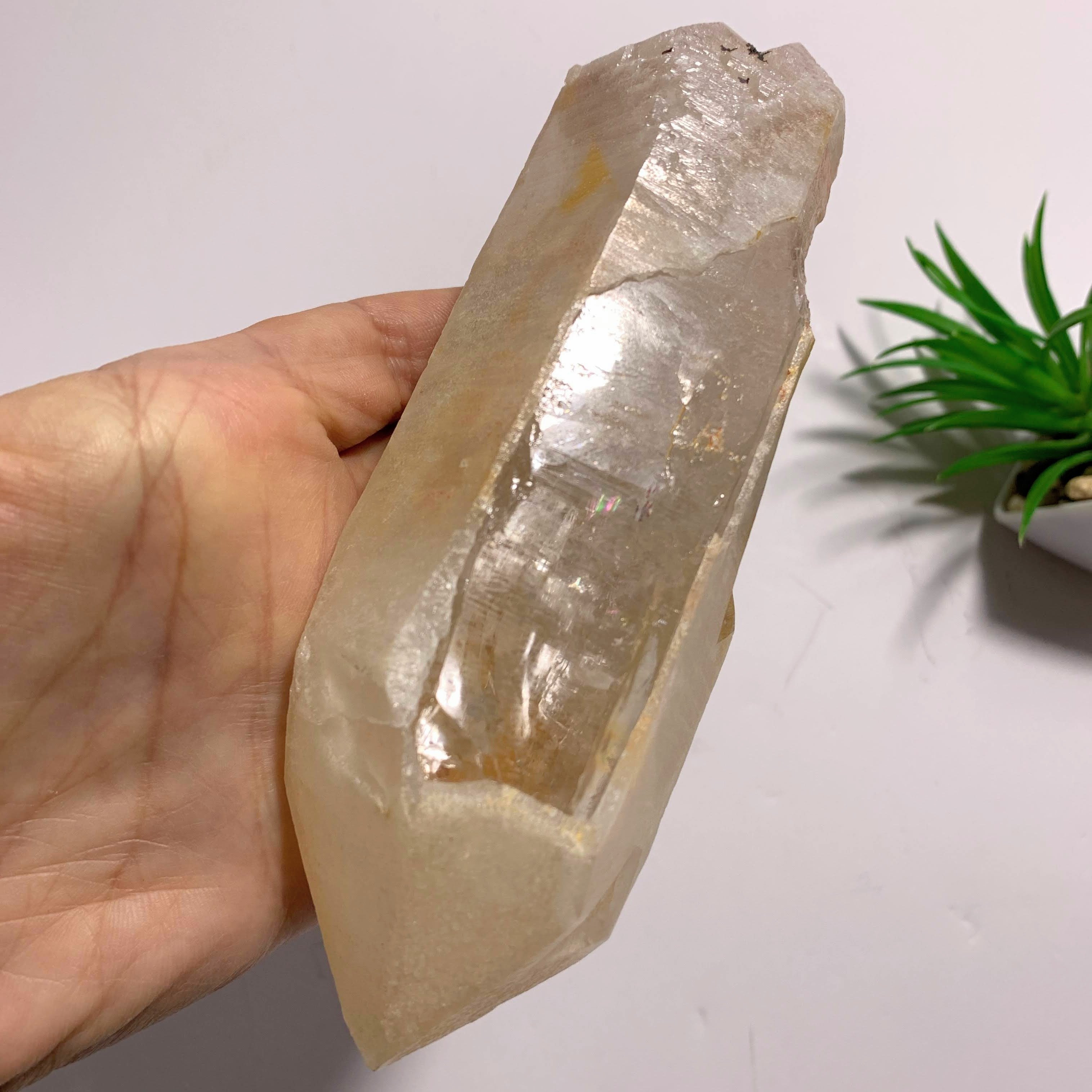 One of a Kind~Double Terminated Tangerine Lemurian Quartz Large Point Encrusted in Druzy From Brazil
