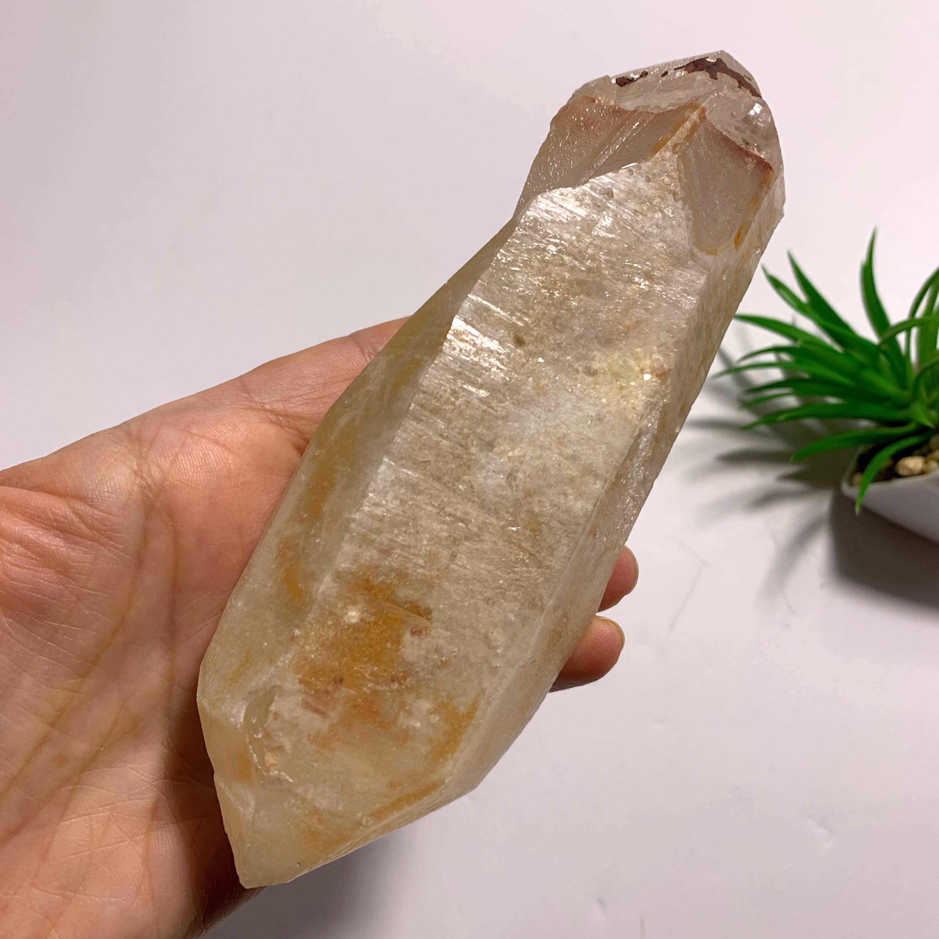 One of a Kind~Double Terminated Tangerine Lemurian Quartz Large Point Encrusted in Druzy From Brazil